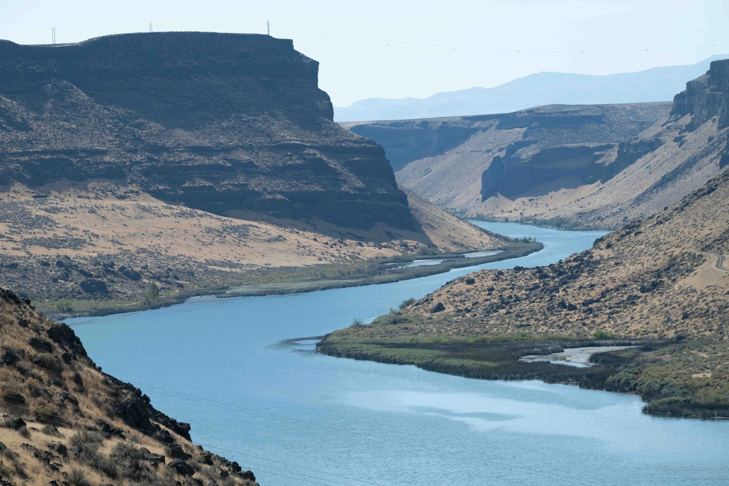 NZ8_5819.jpg
