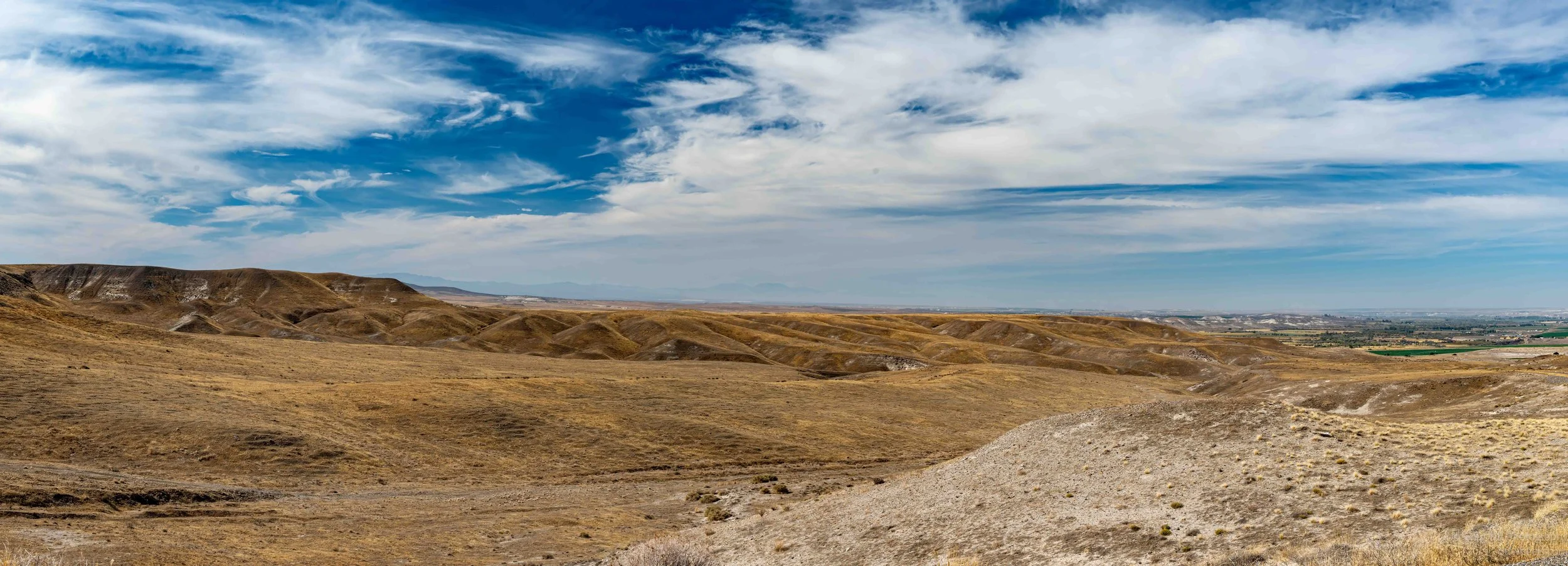 _NZ86143-Pano-Edit.jpg