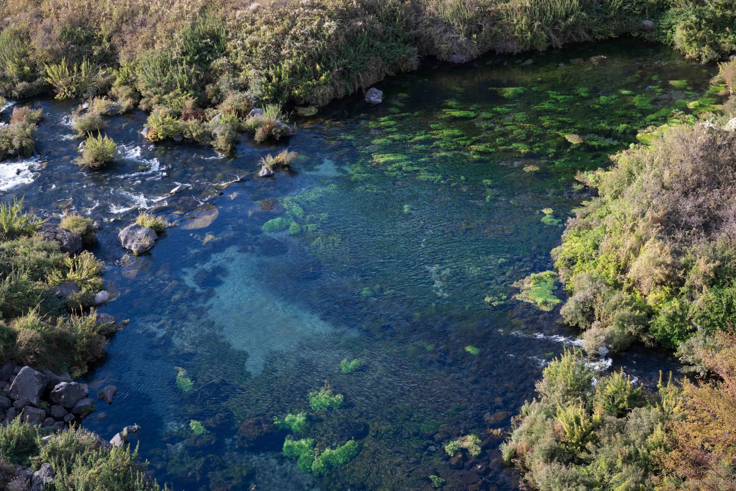 _NZ86186.jpg