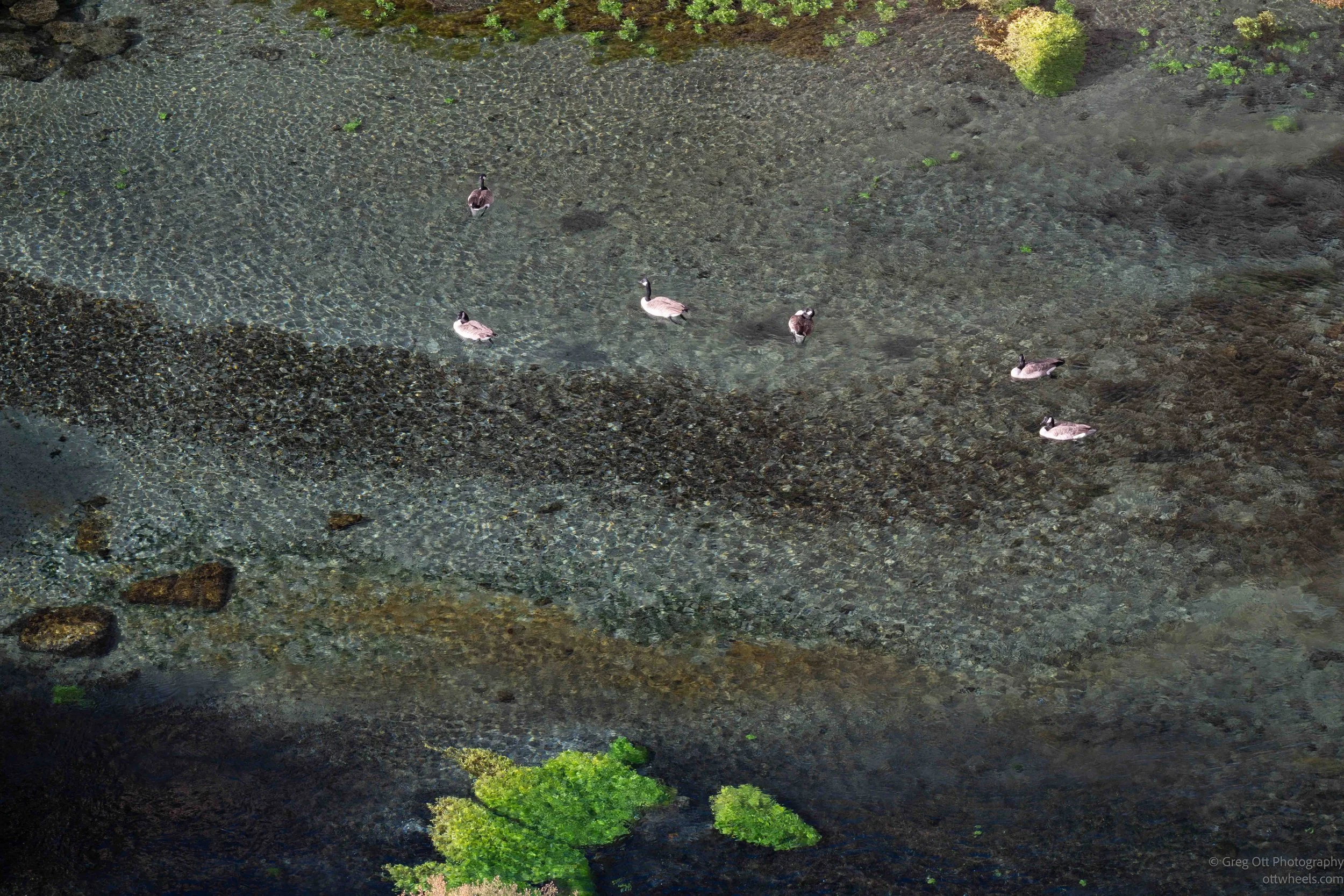 _NZ86184.jpg