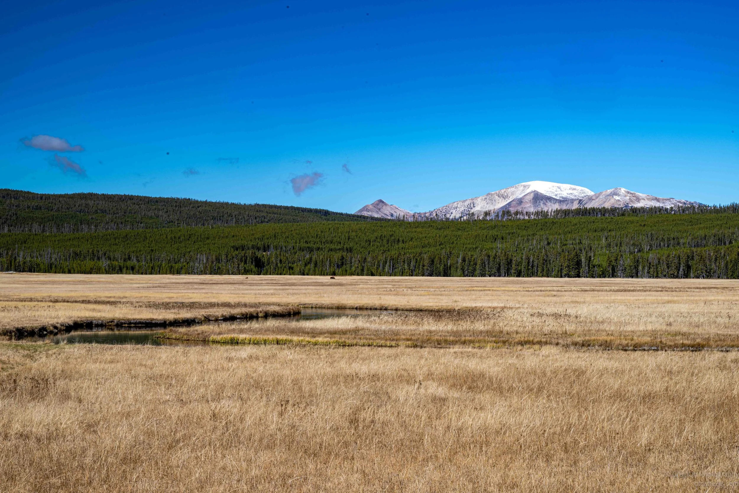 _NZ87061.jpg