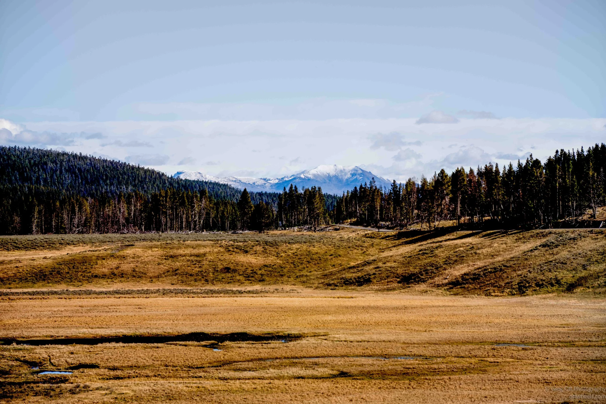 _NZ75329-Edit.jpg