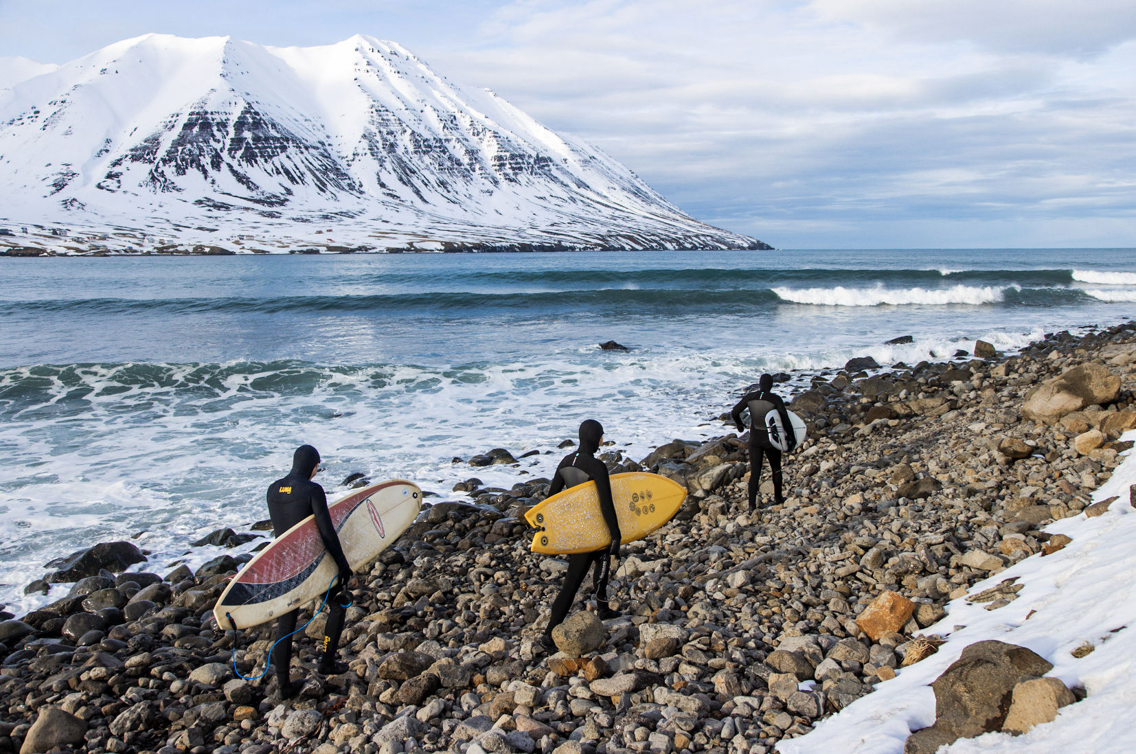 Screen Shot 2022-04-02 at 7.16.19 AM.png