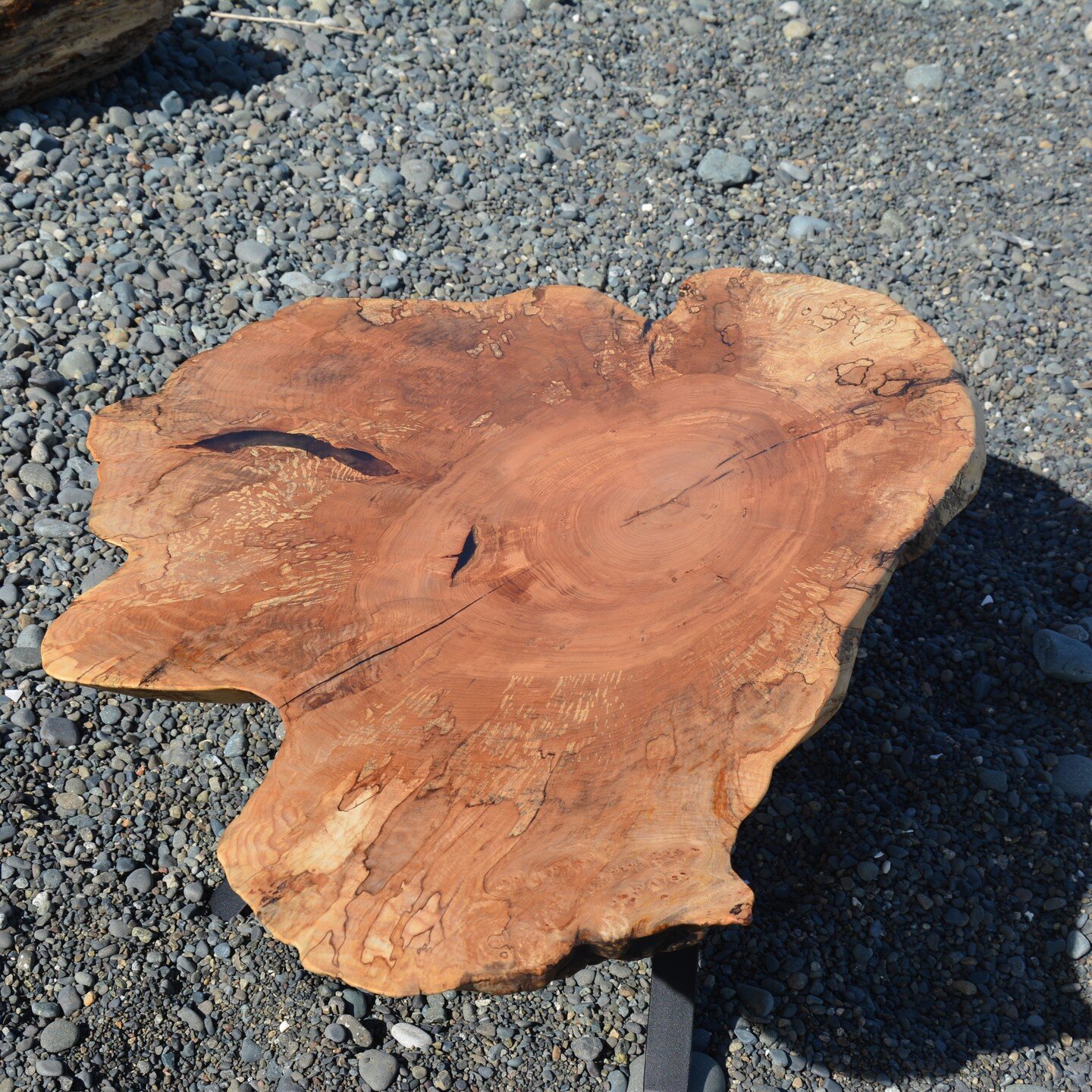 Spalted bigleaf maple, 360 live edge coffee table 

#maple #mapleslab #spalted #spaltedmaple #livedge #livedgewood #epoxy #ecopoxy #homedecore #livedgefurniture #westcoast #customfurniture #woodart #wooddecore #coffeetable #liveedgetable #epoxy #salv