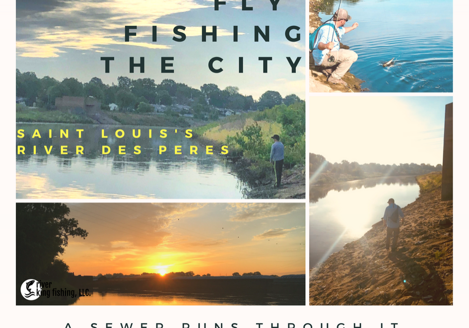 Fly Fishing the City: A sewer runs through it