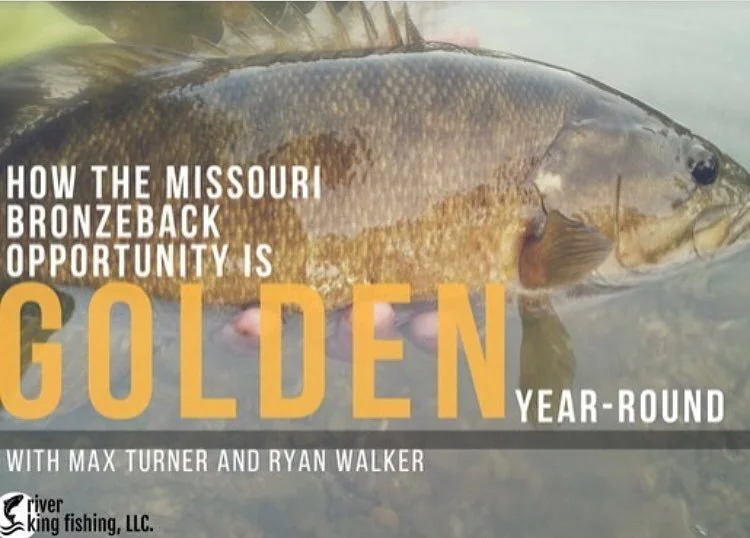 How the Missouri Bronzeback Opportunity is Golden Year Round