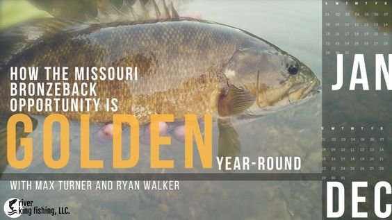 How the Missouri Bronzeback Opportunity is Golden Year Round