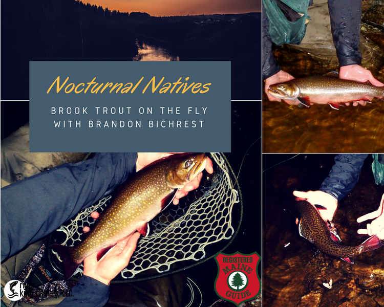 Nocturnal Natives: Travel to Maine for Brook Trout Fishing at night