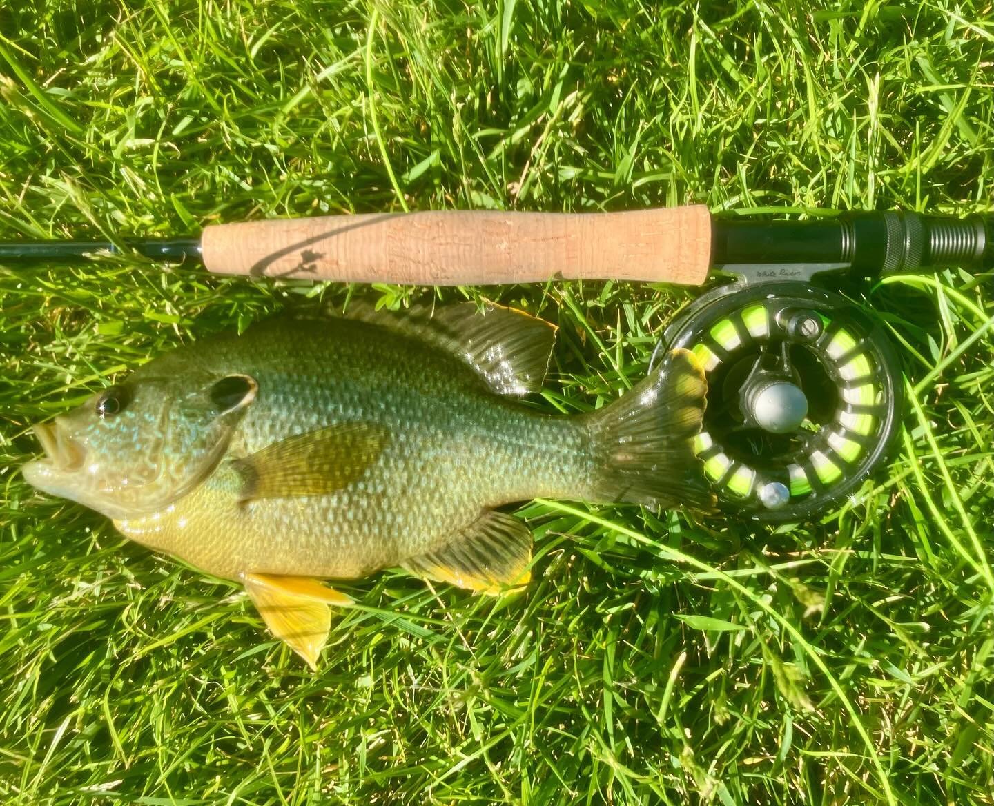 The chunky panfish were players tonight