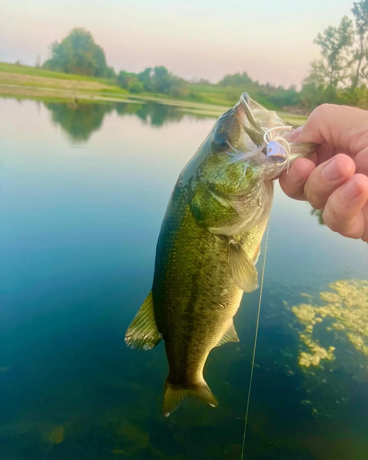 Poppers were made for nights and ponds like this