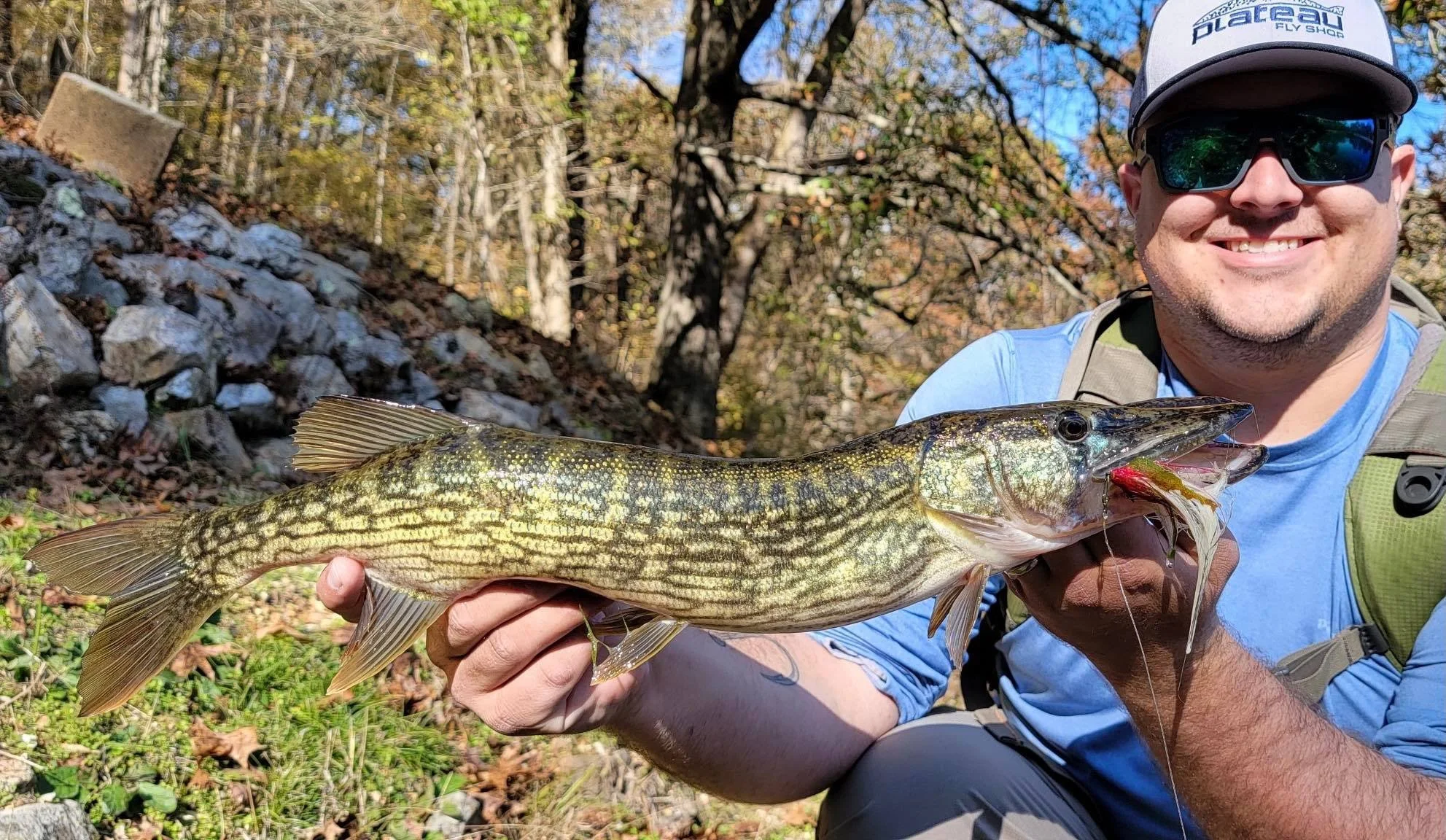 Targeting the Elusive Chain and Grass Pickerel — River King Fishing