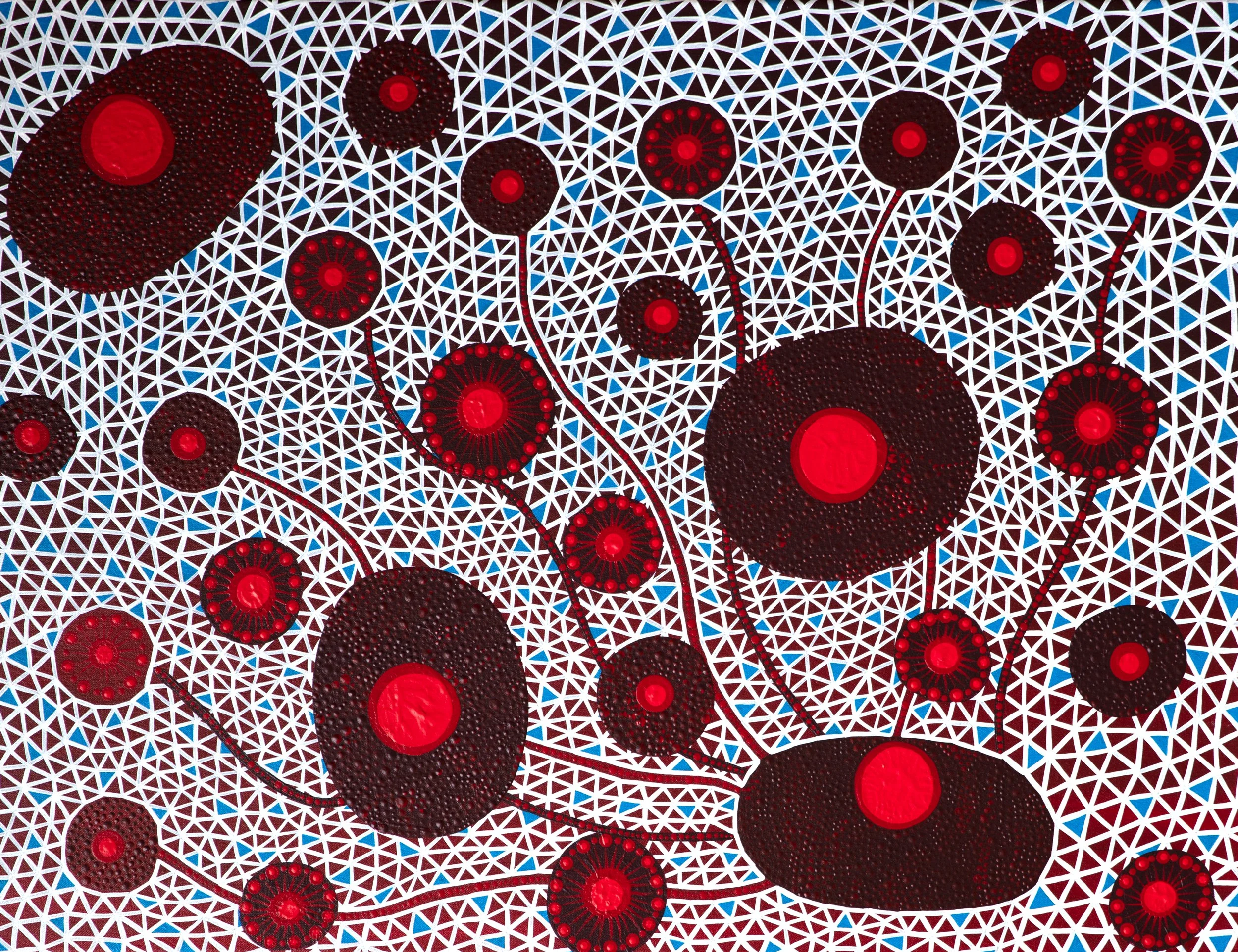 Waratah Red Anemone 69 x 90cm 2023 copy.jpg