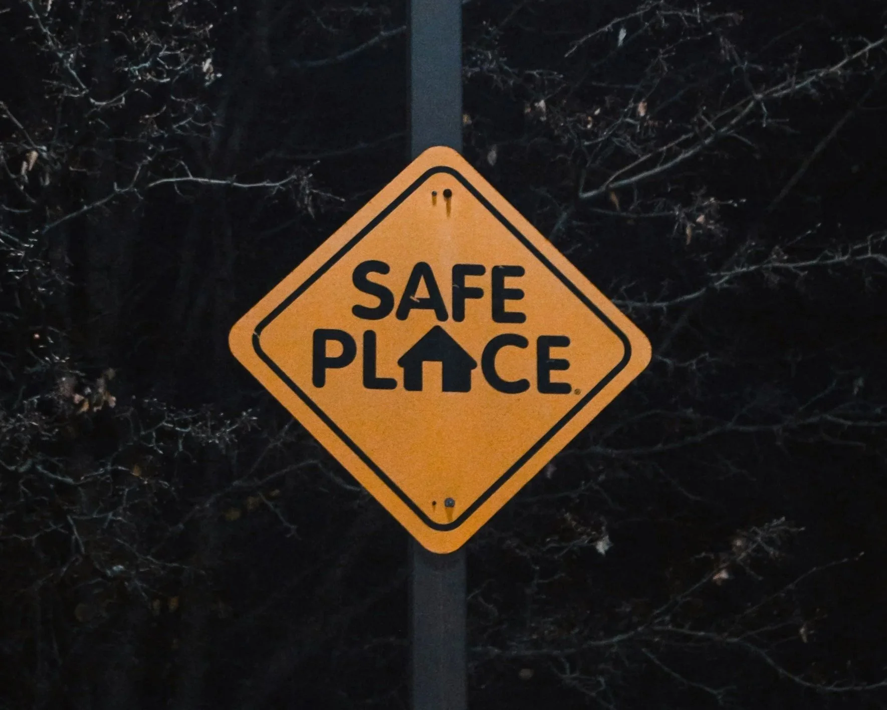 The Reality of Fame and Personal Safety