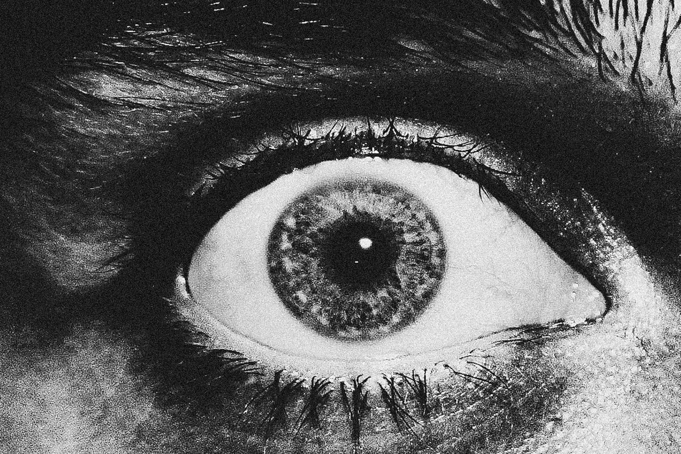Why We Love Horror Movies: The Psychology of Fear
