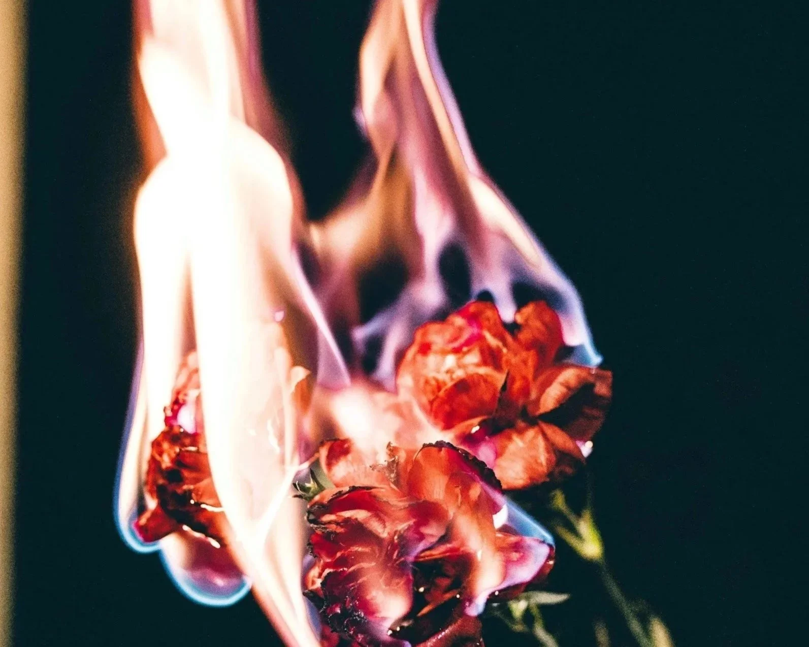  Reality Dating Shows Prove Real Romance Isn’t What We Think It Is