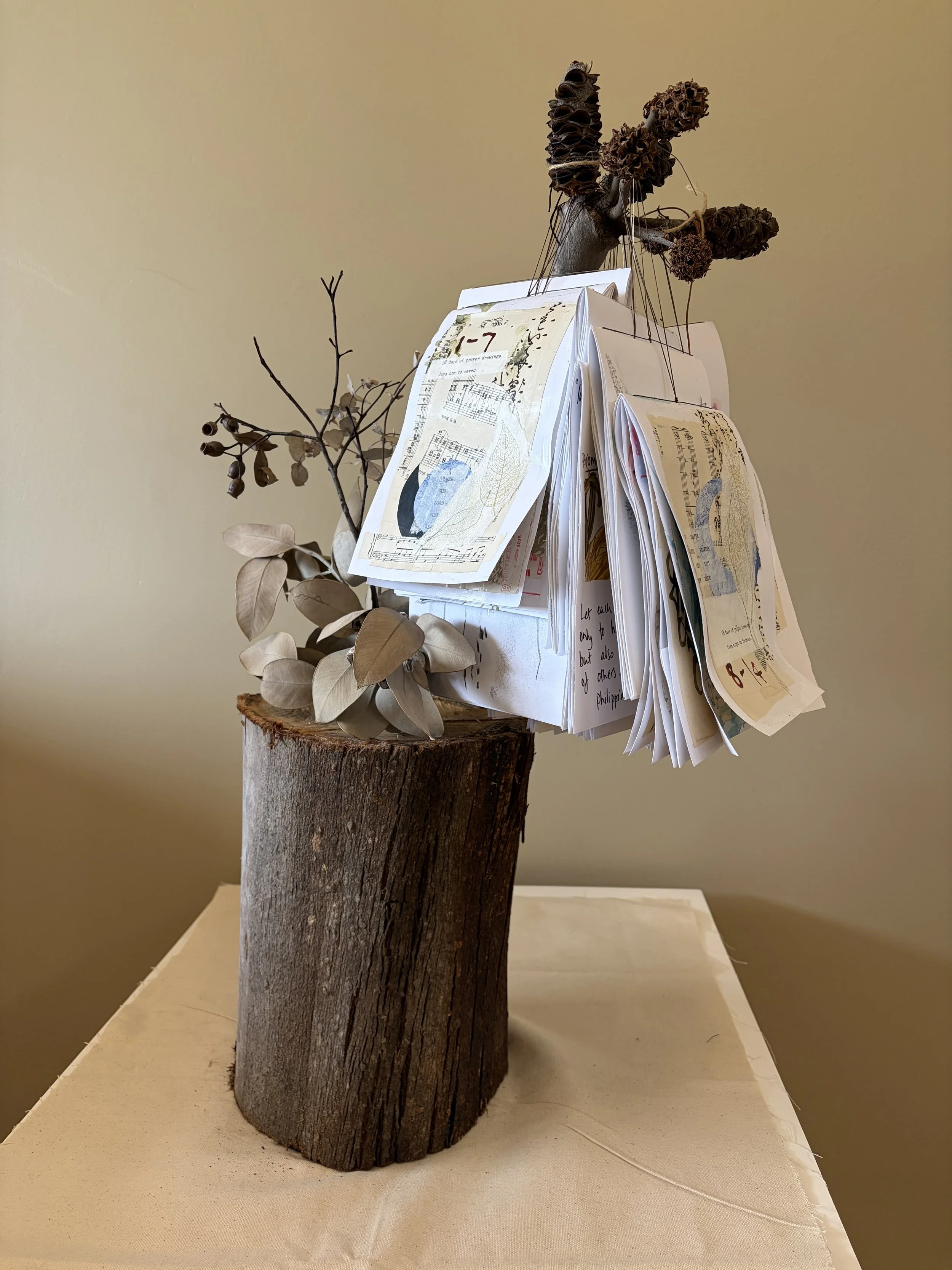 28 days of prayer
Rooted in a felled trunk, gathered leaves, seedpods and fragments of prayer form a precarious archive. Natural and written worlds are held together, suggesting that words, like seeds, are carried, scattered and renewed—small offerin