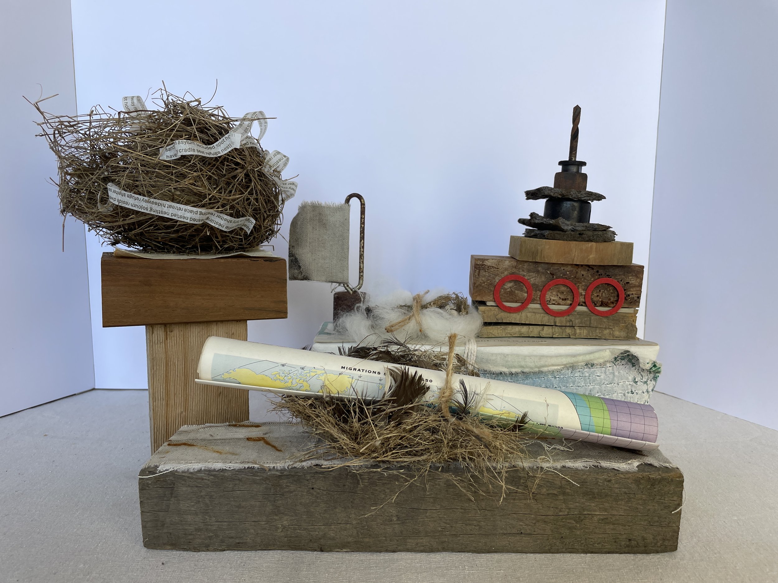 Nest series:
1. Swaddled and held 30 x 11 x 21cm
2. Migrations since 31 x 11 x 12cm
3. Sanctuary 19 x 12 x 15cm
   
Found nests, timber, paper, sheep's wool, twine, wattle ink, rust dyed cloth, found metal object, clay
Walking through our paddocks af