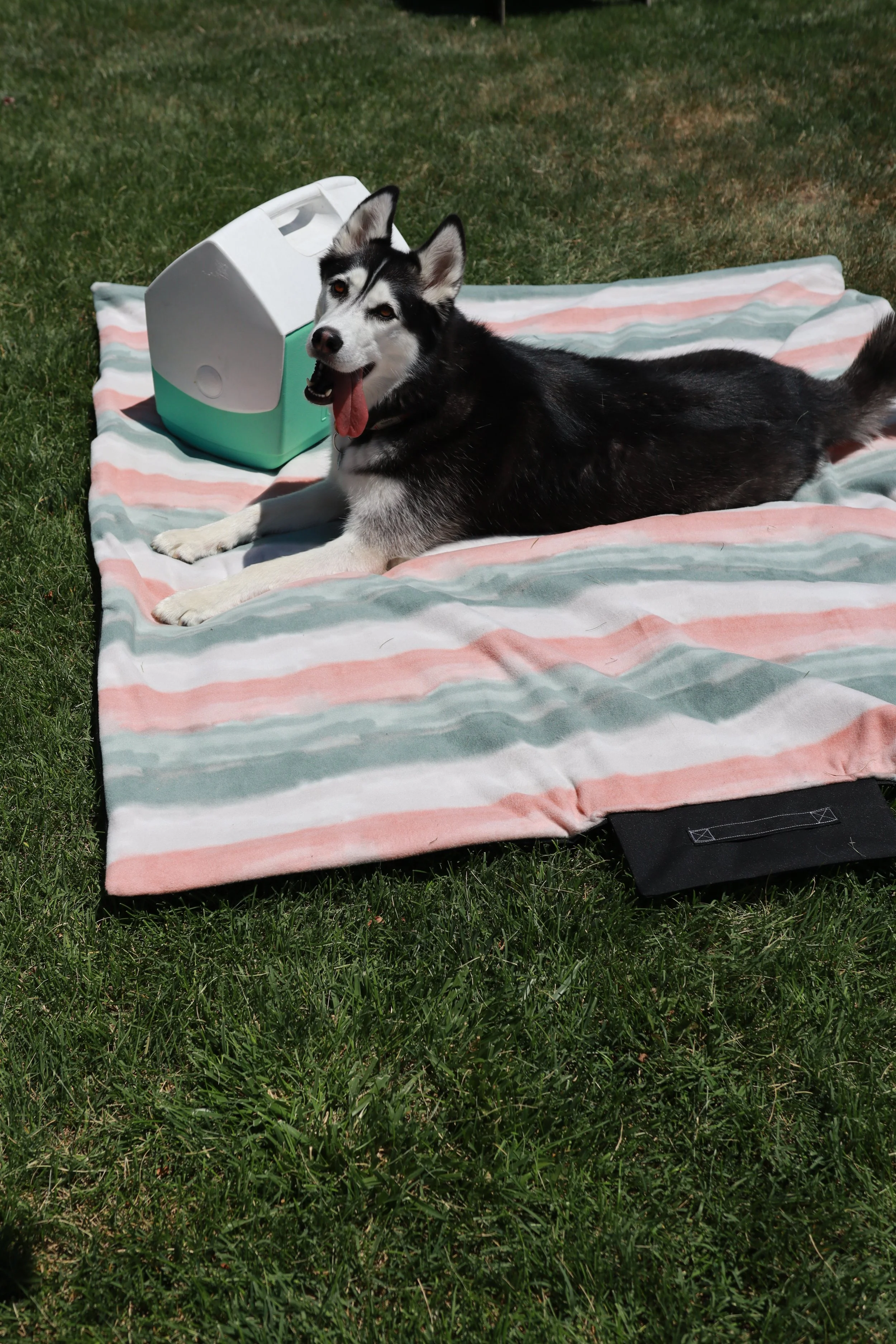 Sewing Workshop // Picnic Blanket