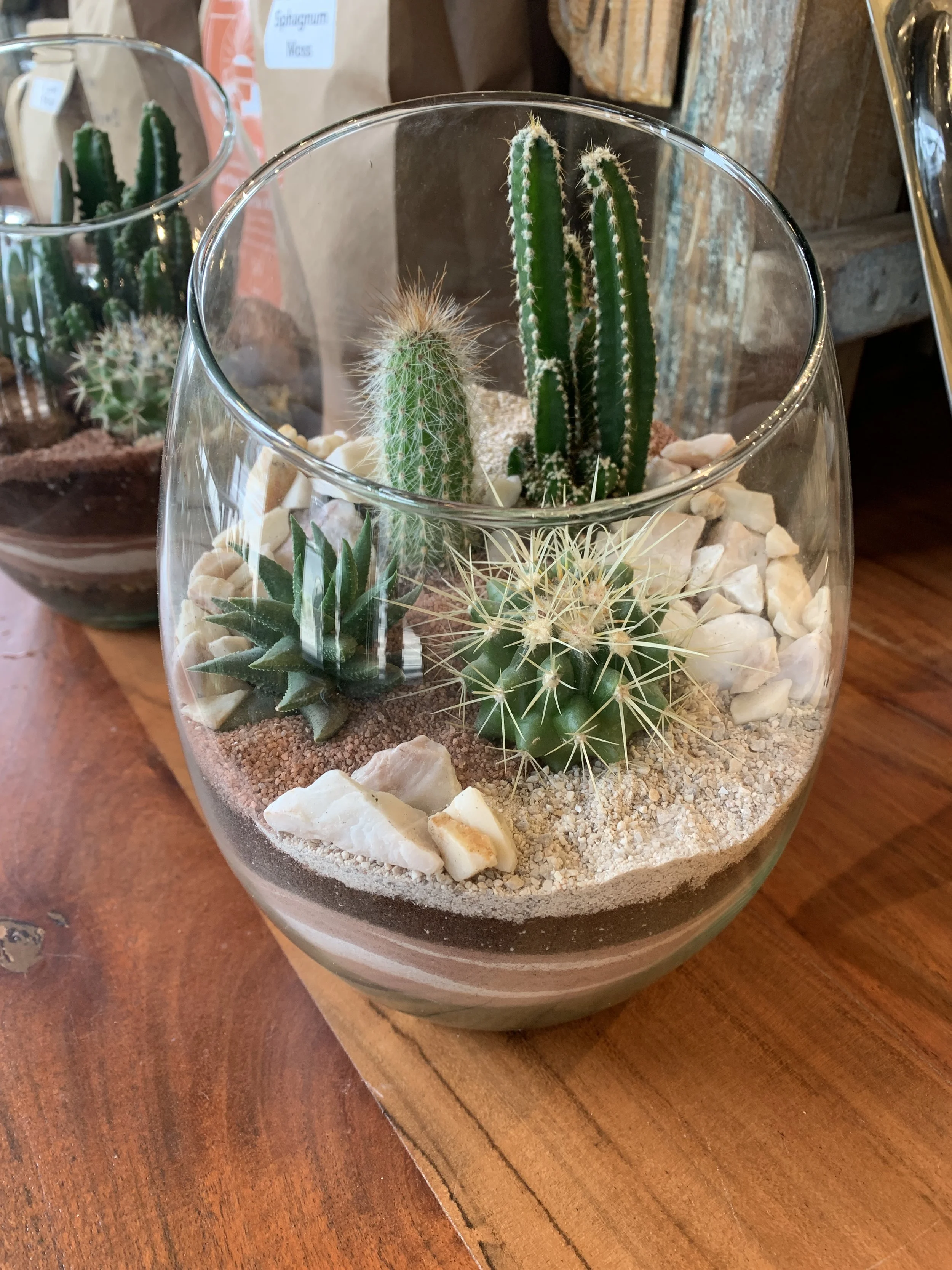 Succulent Terrarium Workshop