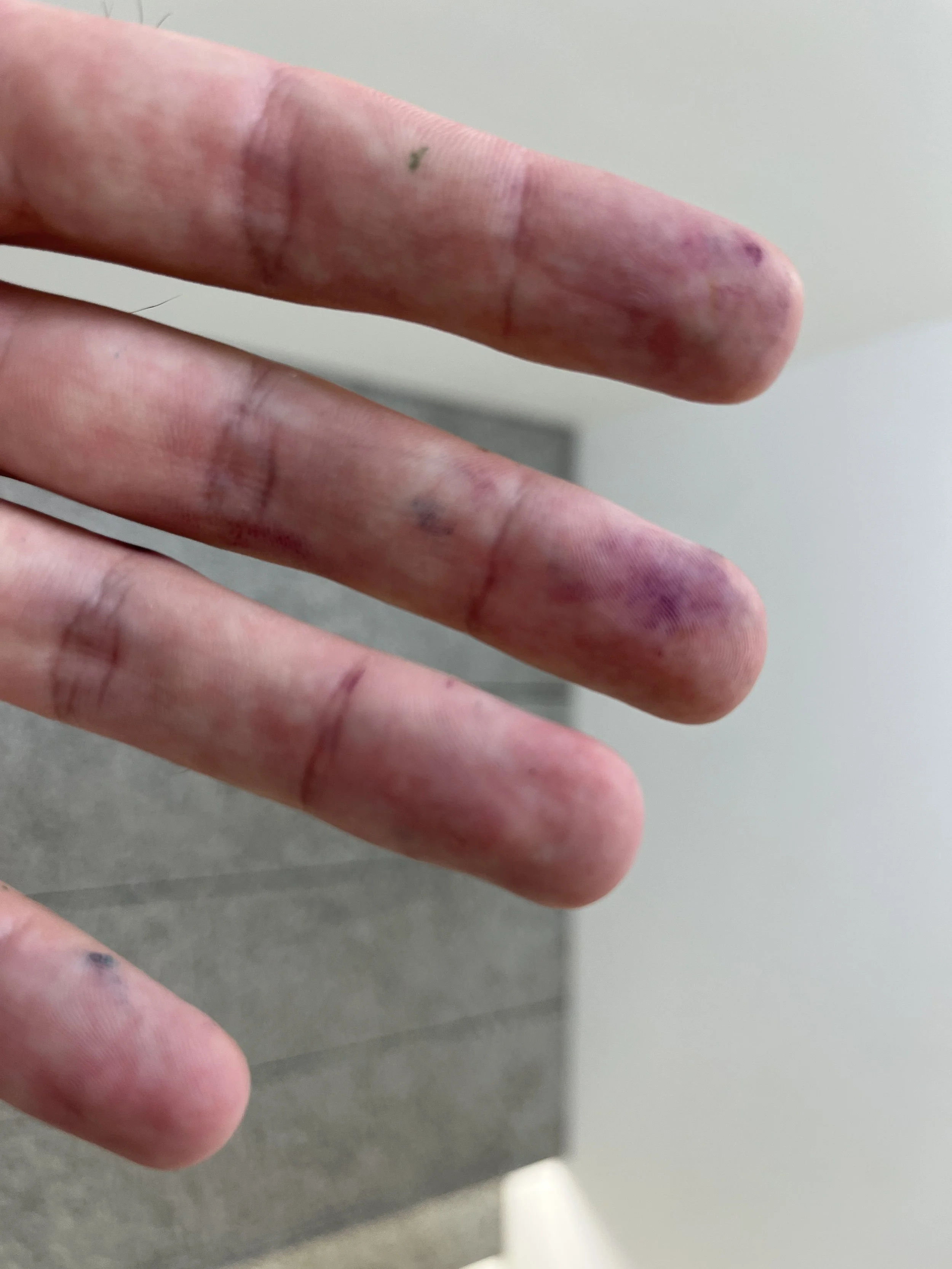 Ink, Ink, Ink! — Write of Way