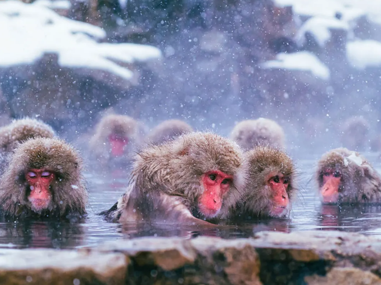 スクリーンショット 2026-03-09 170816.png