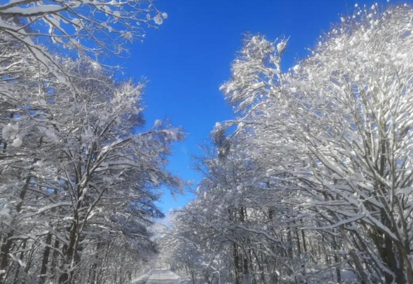 スクリーンショット 2026-03-09 170908.png