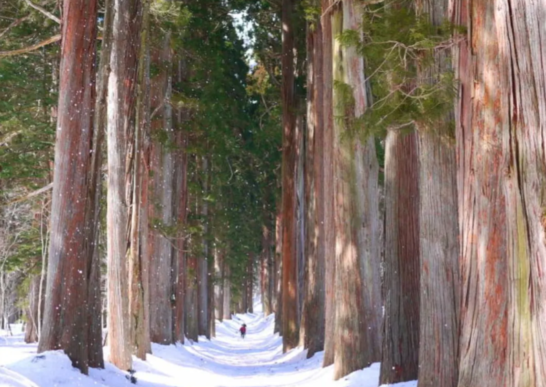 スクリーンショット 2026-03-09 170824.png