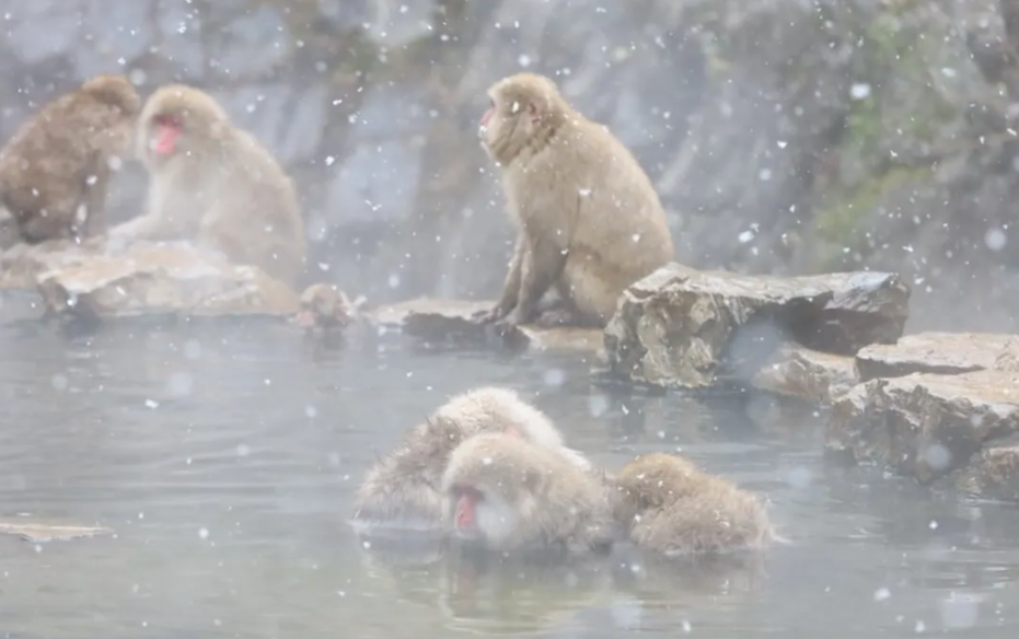 スクリーンショット 2026-03-09 170853.png