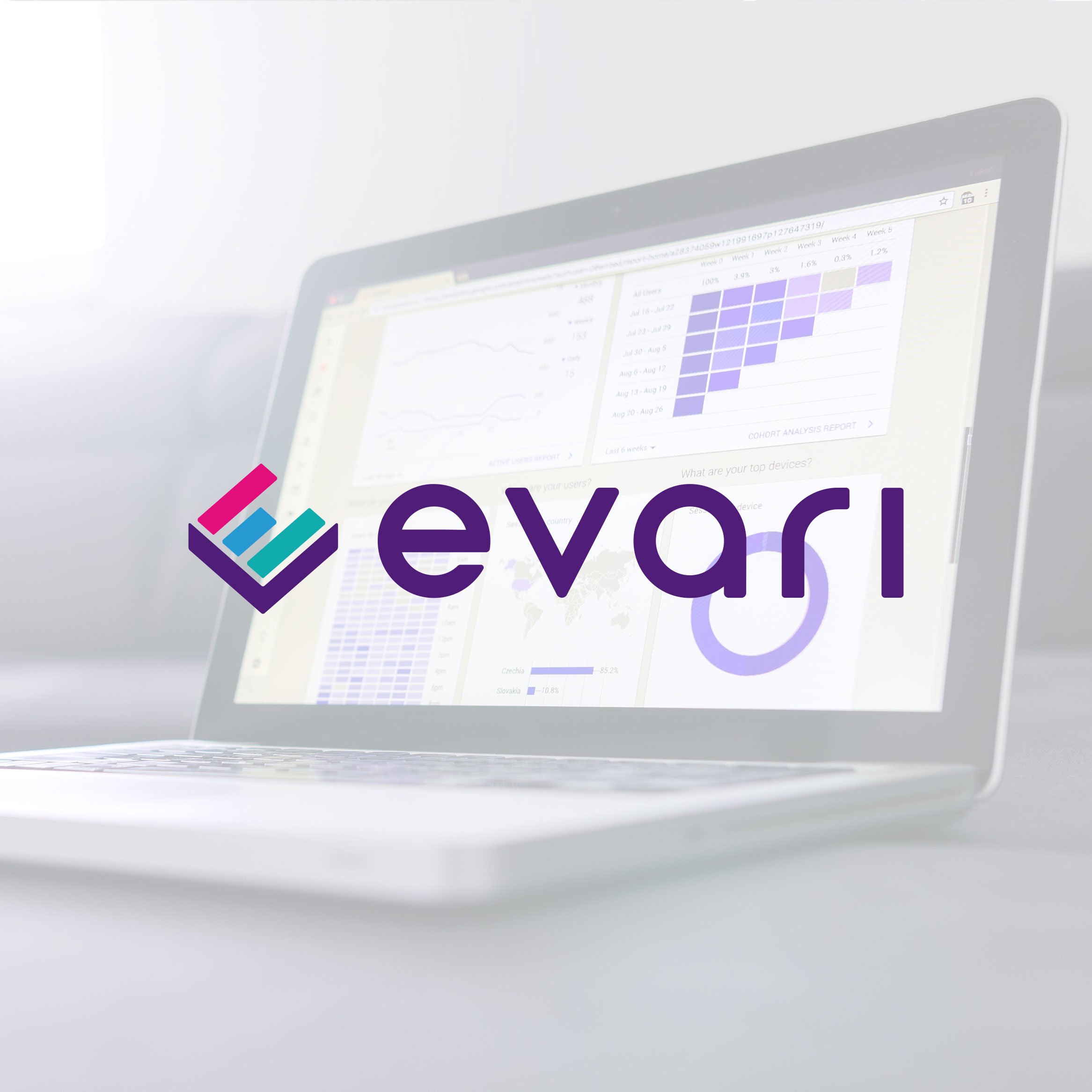 Evari_Brand.jpg