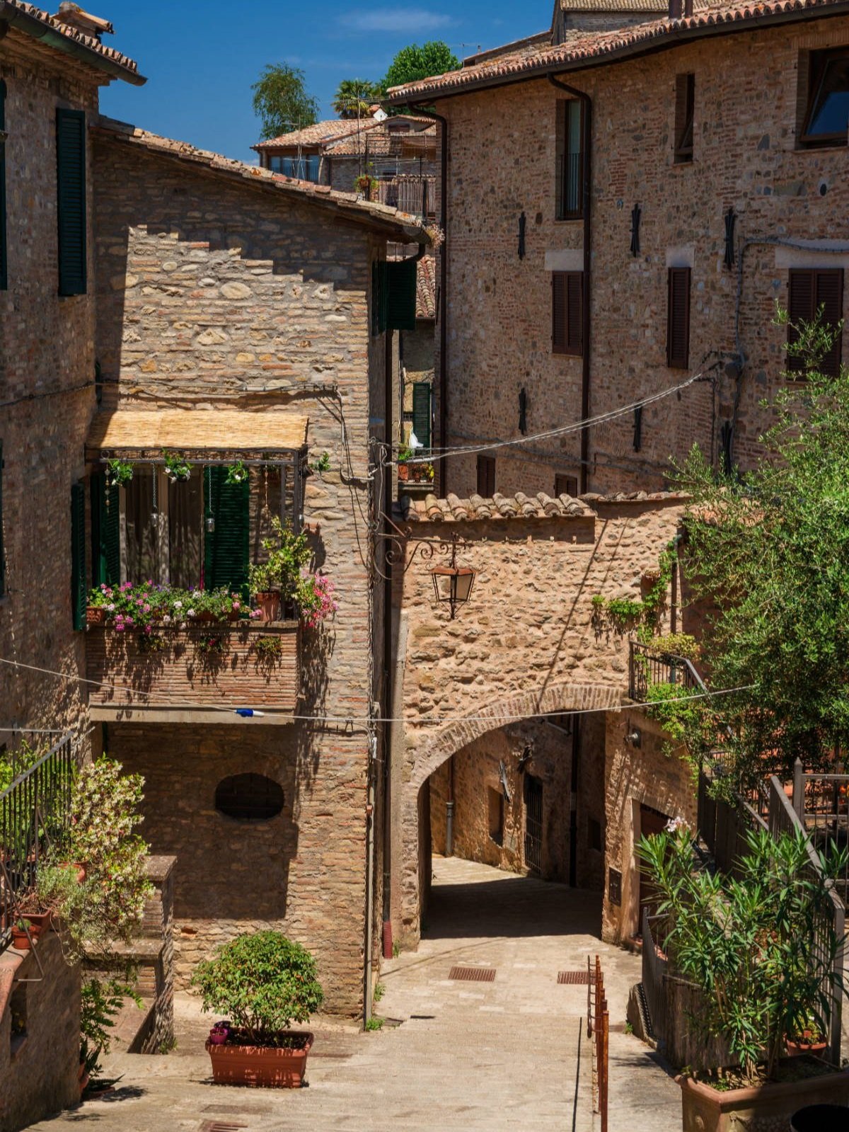 montone2.jpg