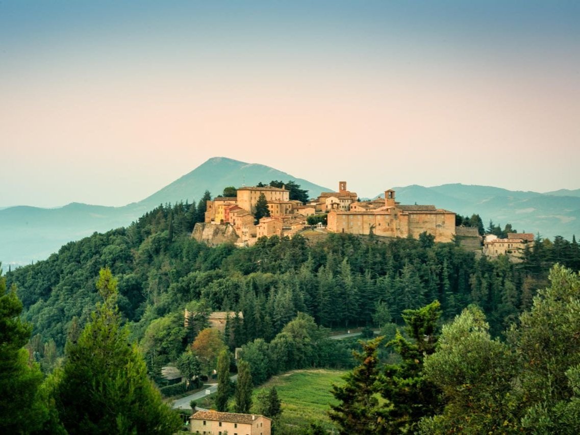 montone1.jpg