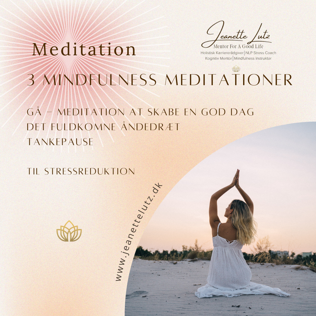 3 Mindfulness Meditationer