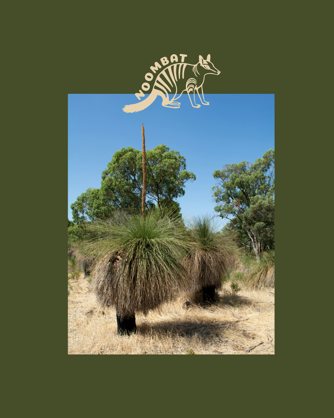 Noombat Social Post.png
