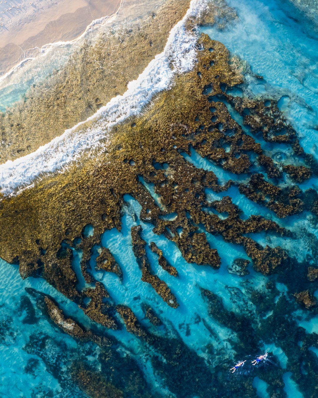 North Cott 7  ii 5x4-1.JPG