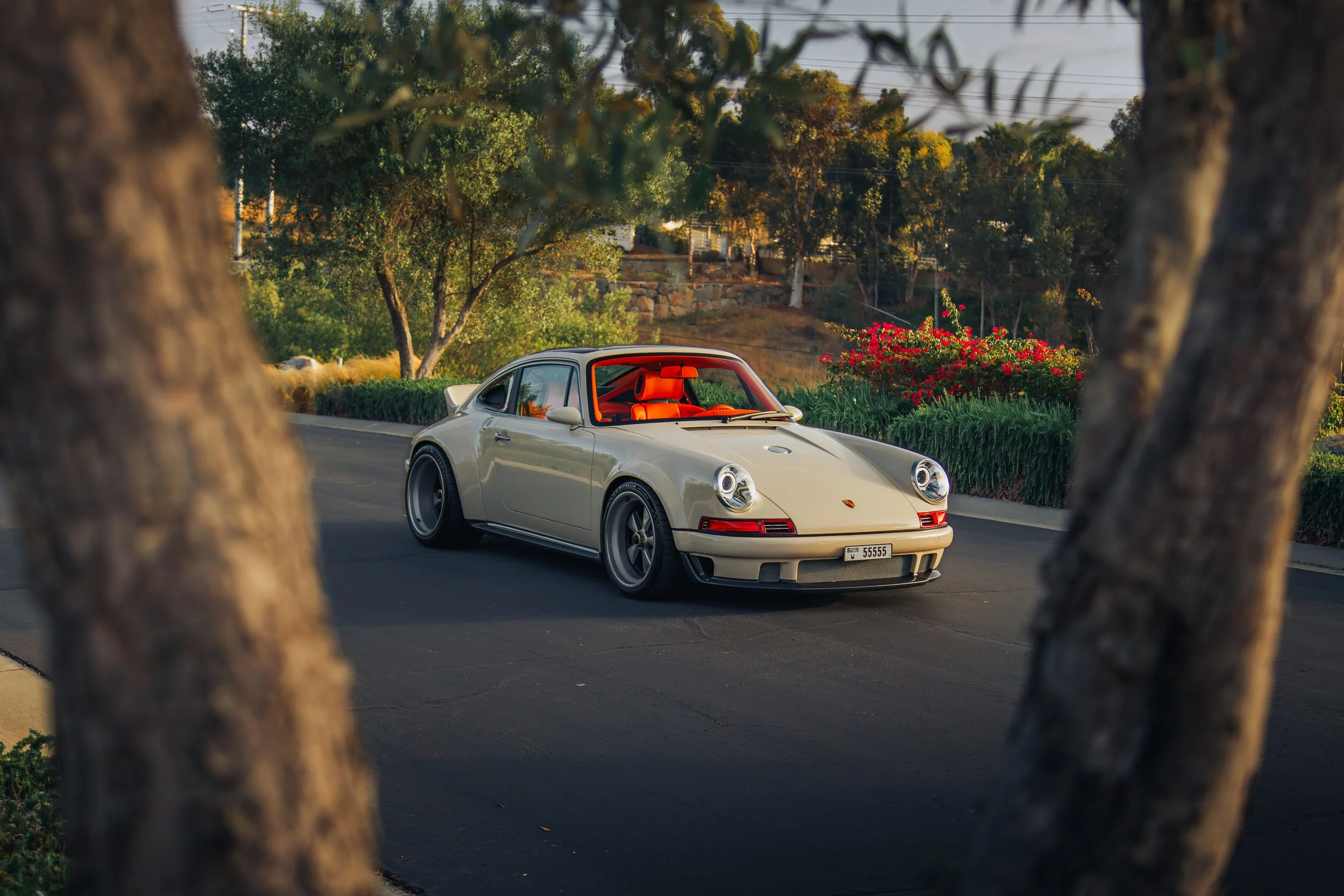 2K9A2423-Enhanced-NR.jpg