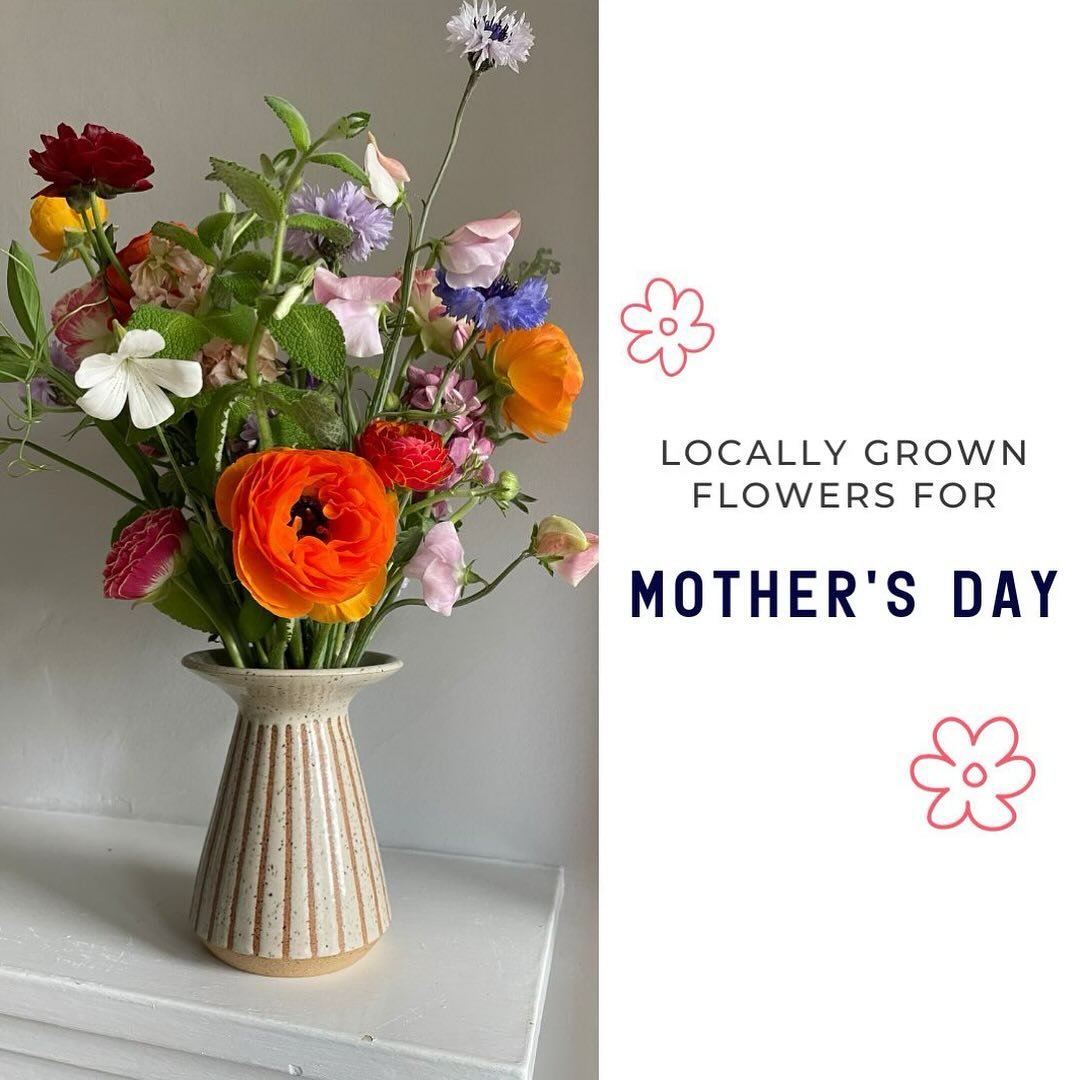 Celebrate Mom with the gift of 100% locally grown flowers! 💕🌼

Whether for your momma, mother-in-law, wife, sister or bestie: give the best blooms around this May! Featuring whimsical and bold seasonal blooms and foliage grown by me! + sourced from