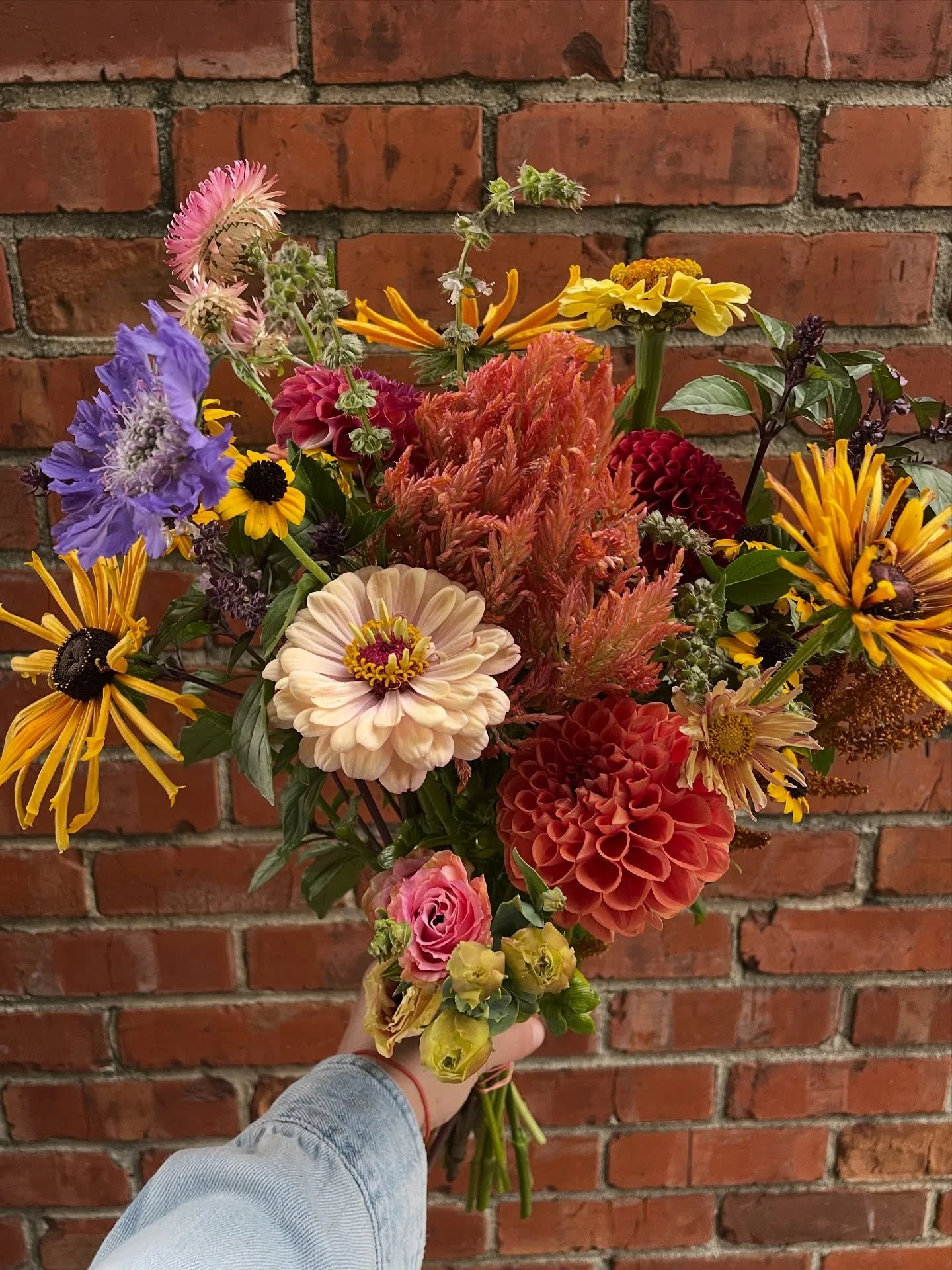 The absolute coolest fall bouquet ingredients. 🍁🍂🌼🧡🎃

Seasonal.Flowers.Are.The.Best. 👏👏

El Cerrito grown flowers a la Left Field plus more from the awesome growers at the @santacruzflowerhub 

- Rudbeckia &lsquo;Chim Chiminee&rsquo; from @dor