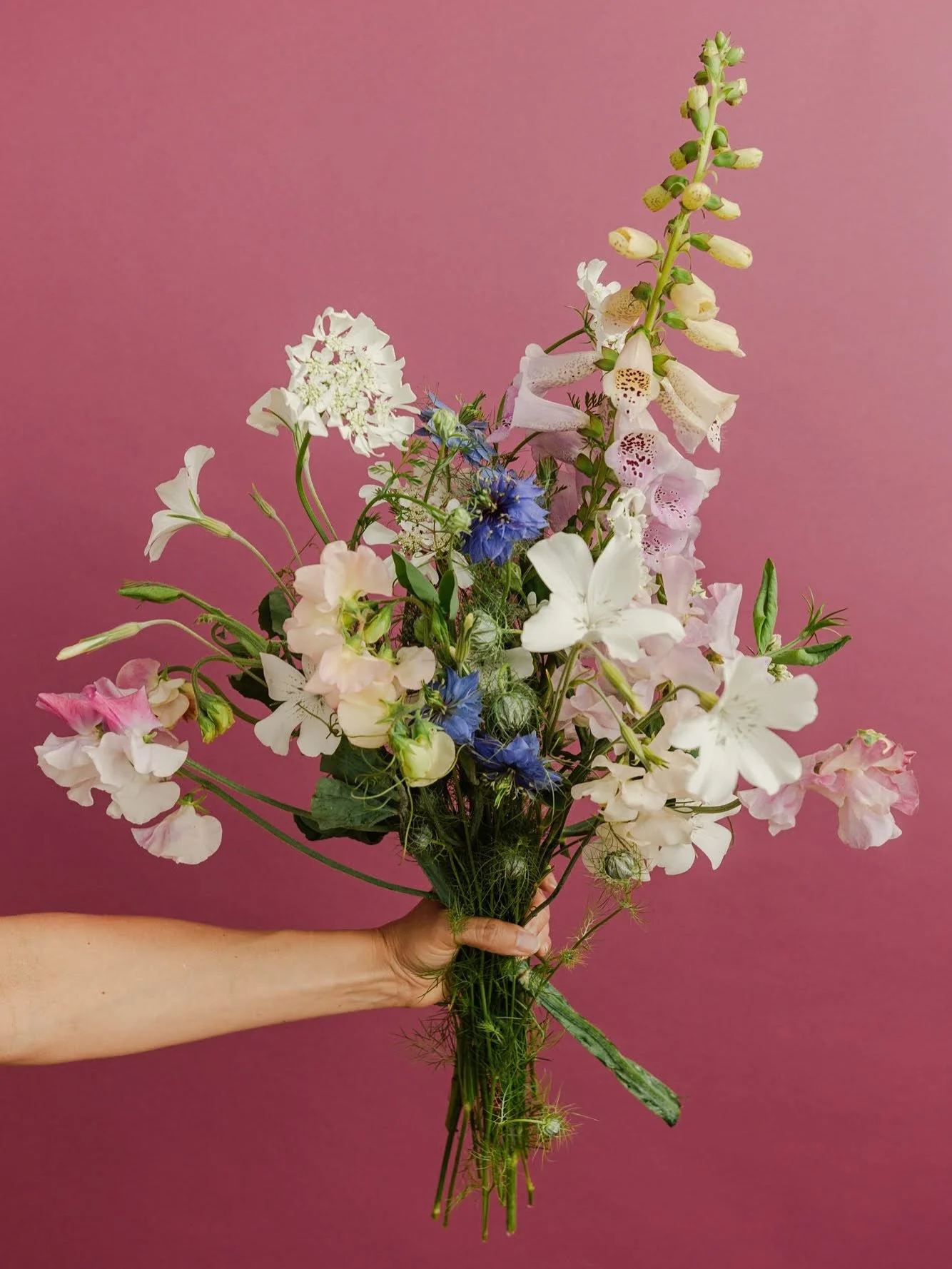 Dreaming and scheming about spring flowers! ✨🌱

Did ya know that many spring blooming flowers can be planted in fall? I plant all my sweet peas in autumn, plus successions of &ldquo;cool flowers&rdquo; like nigella, orlaya, agrostemma, and snapdrago