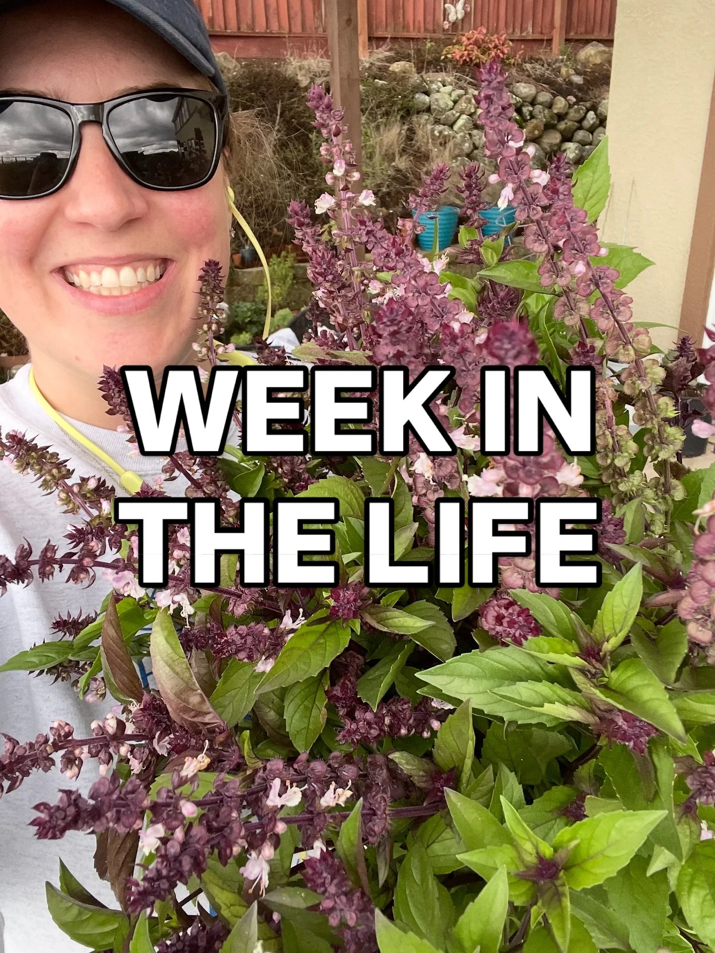 Mid-November and things are still buzzing in my world! 🐝

(want more BTS? Let me know! 💖)