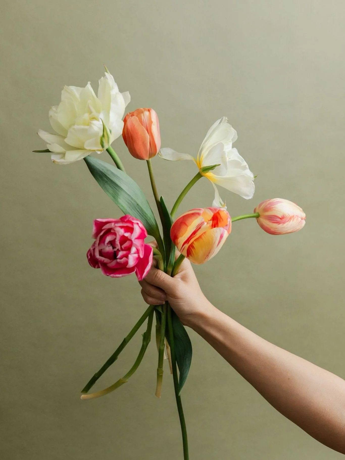 🚨📣 Bulbs for sale! (But say it in the &ldquo;CABS ARE HERE&rdquo; voice from Jersey Shore lol)

I&rsquo;m offering custom mixes of speciality tulip and daffodil bulbs for YOU to plant! These bulbs have already been pre-cooled which is so helpful fo