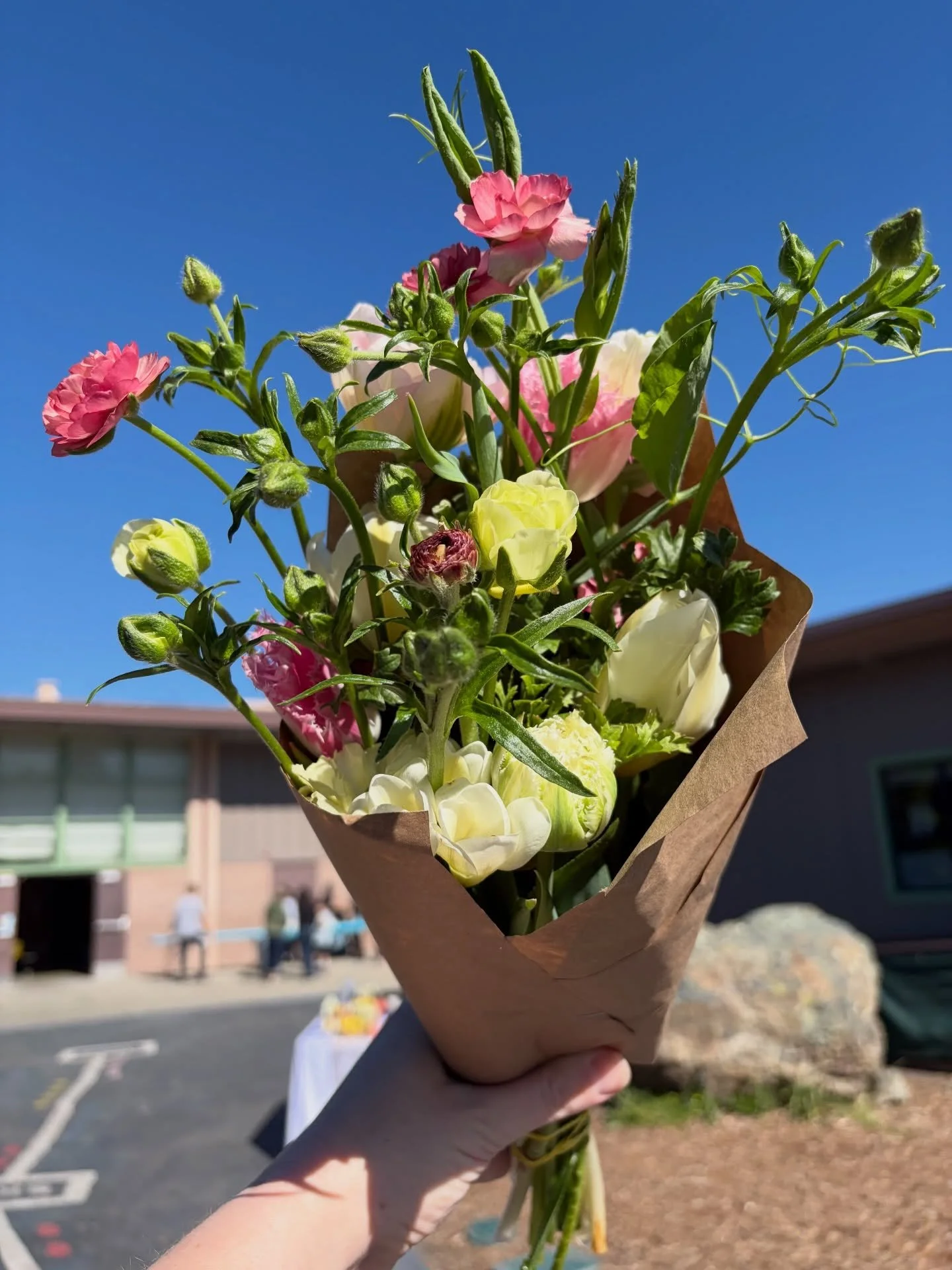Just some of the first round of subscription bouquets that went out this month! 🌷💖🌈🍀👒🍄 I hope you&rsquo;ve been loving your blooms as much as I love growing them!

➡️➡️ Last call on spring subscriptions for 2026! I&rsquo;ll be closing sign ups 