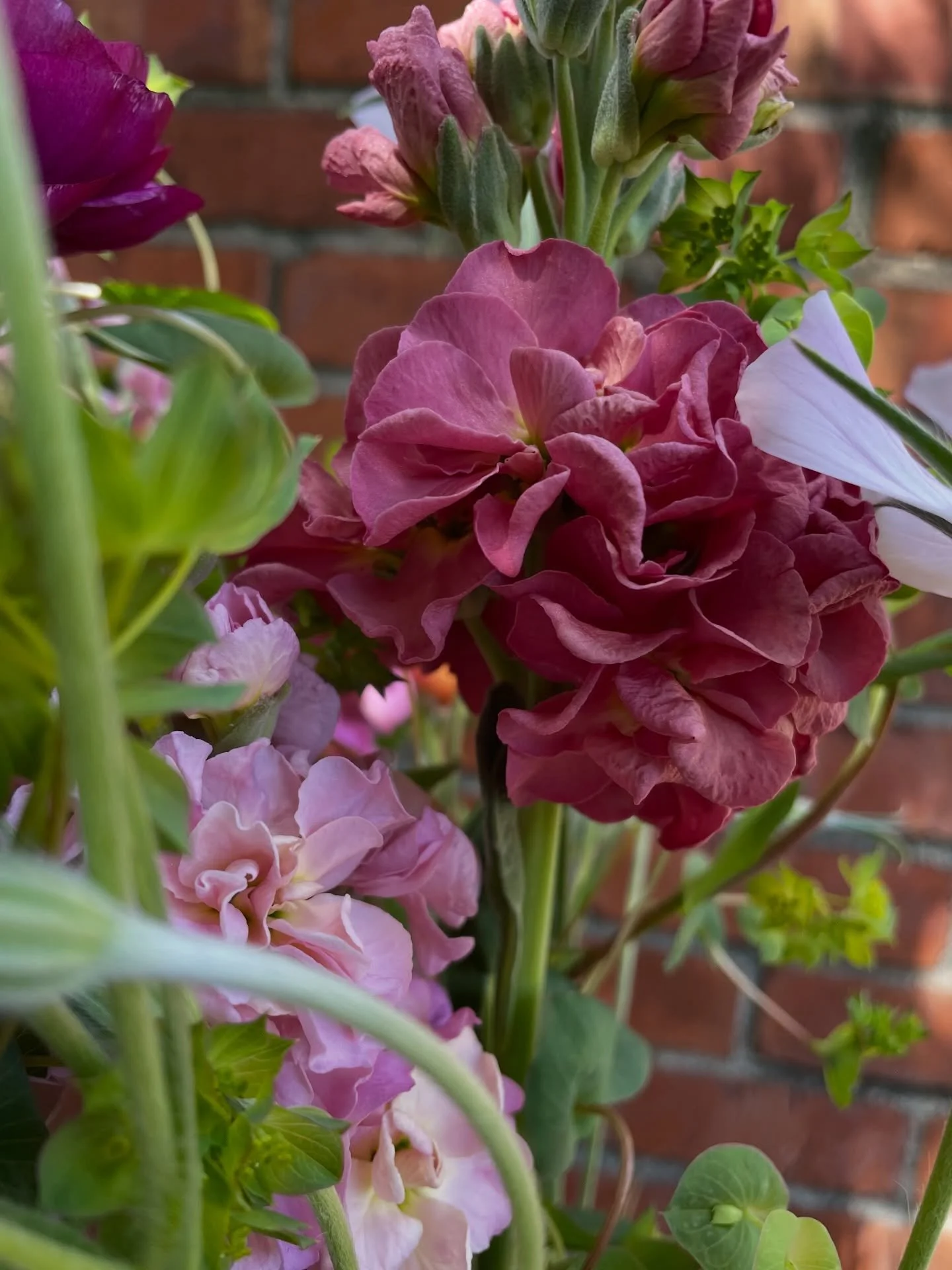 CHANGE YOUR WATER! 💦

My #1 tip for helping your fresh cut flowers last at home is changing that water out every day. Whether it&rsquo;s at breakfast, your afternoon caffeine break, dinner time - pick a time to habit stack and clean that vase! (Like