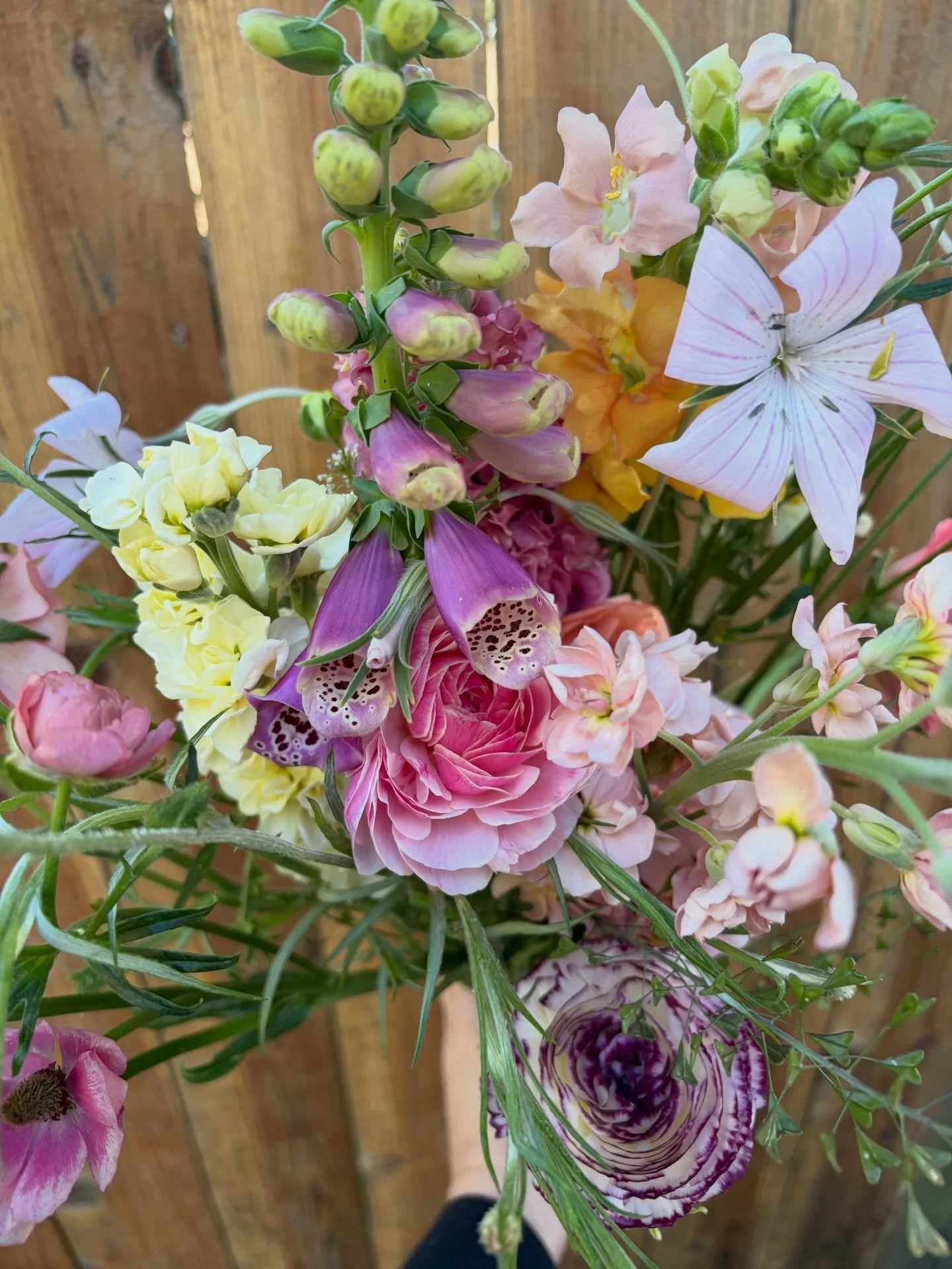 Are you team fence or brick wall for my flower backdrops?? 🤔🤺🧱 Good news - there&rsquo;s no wrong answer because the flowers are so good! 

My fence was in major need of a clean up but after a power wash (my favorite hobby 😅) she&rsquo;s ready fo