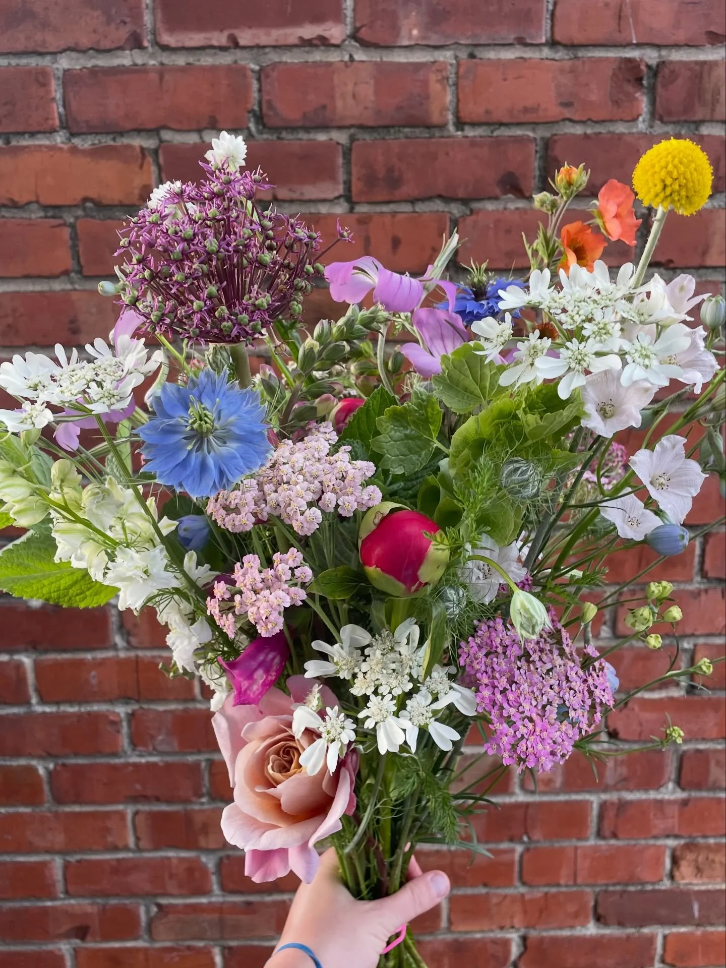 Mother&rsquo;s Day flowers are LIVE on my site!! 💐💐🤰

Pre-orders only this year with porch pick up in El Cerrito. Plus, the absolute best locally grown flowers, duh!

Oh! And I&rsquo;m shipping my flower cards still! If the Mom in your life isn&rs