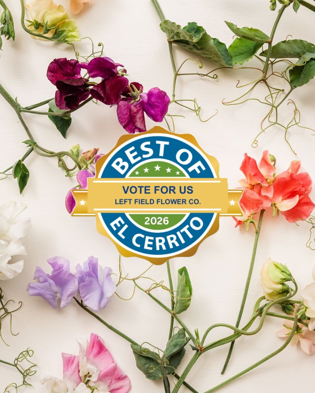 I&rsquo;m so happy to share that I&rsquo;ve been nominated for &ldquo;Best of El Cerrito&rdquo; again! I love getting to grow flowers here and share them with YOU my neighbors. The community support is a dream come true.

To vote:
- go to elcerritoch