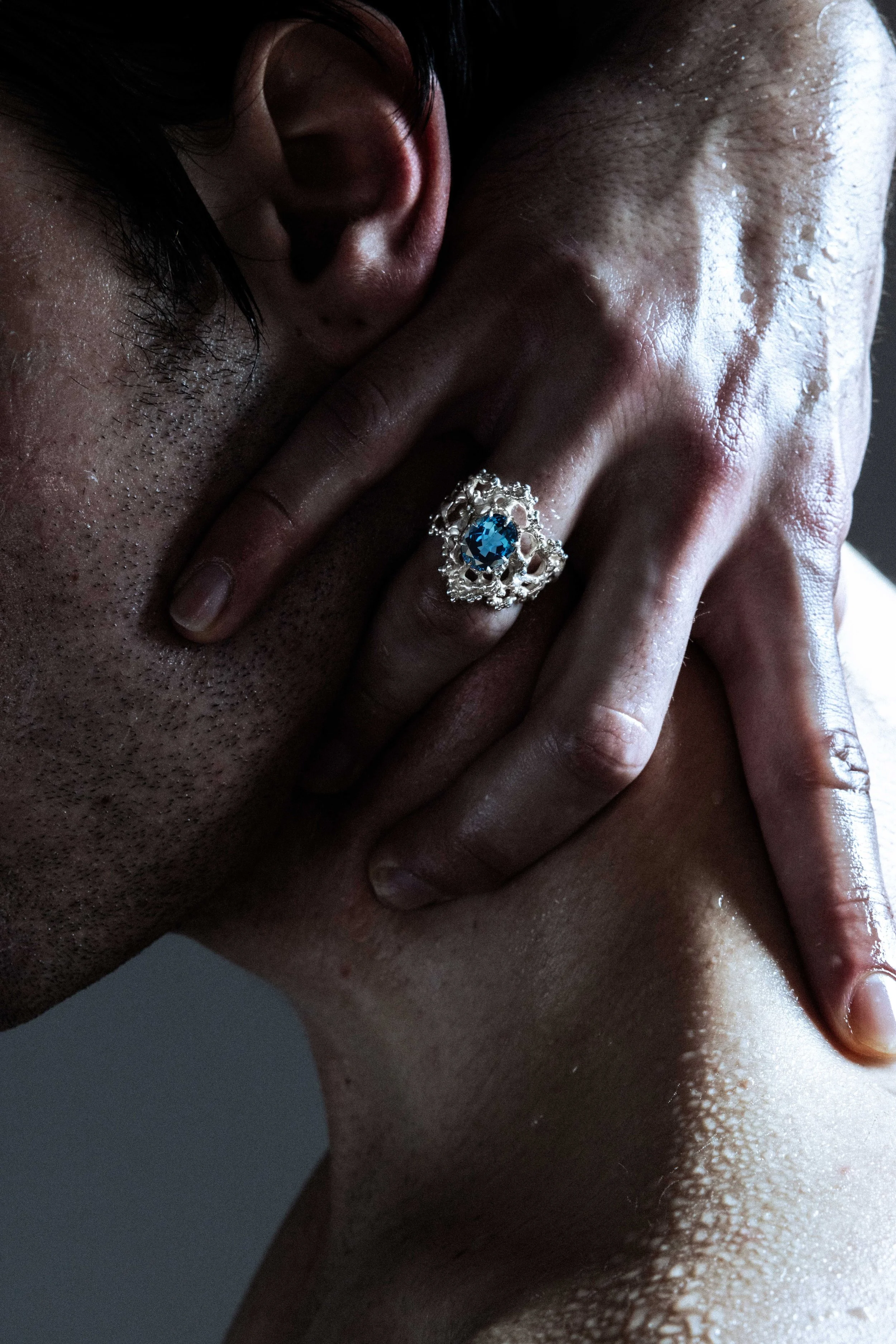 CEPHEIDE-14269-compress.jpg