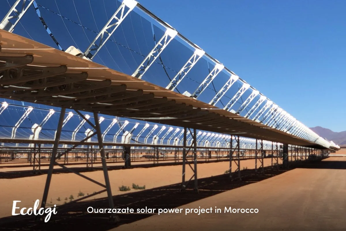 Oak Tyres offsets the equivalent emissions of 23.4 million miles driven in a car