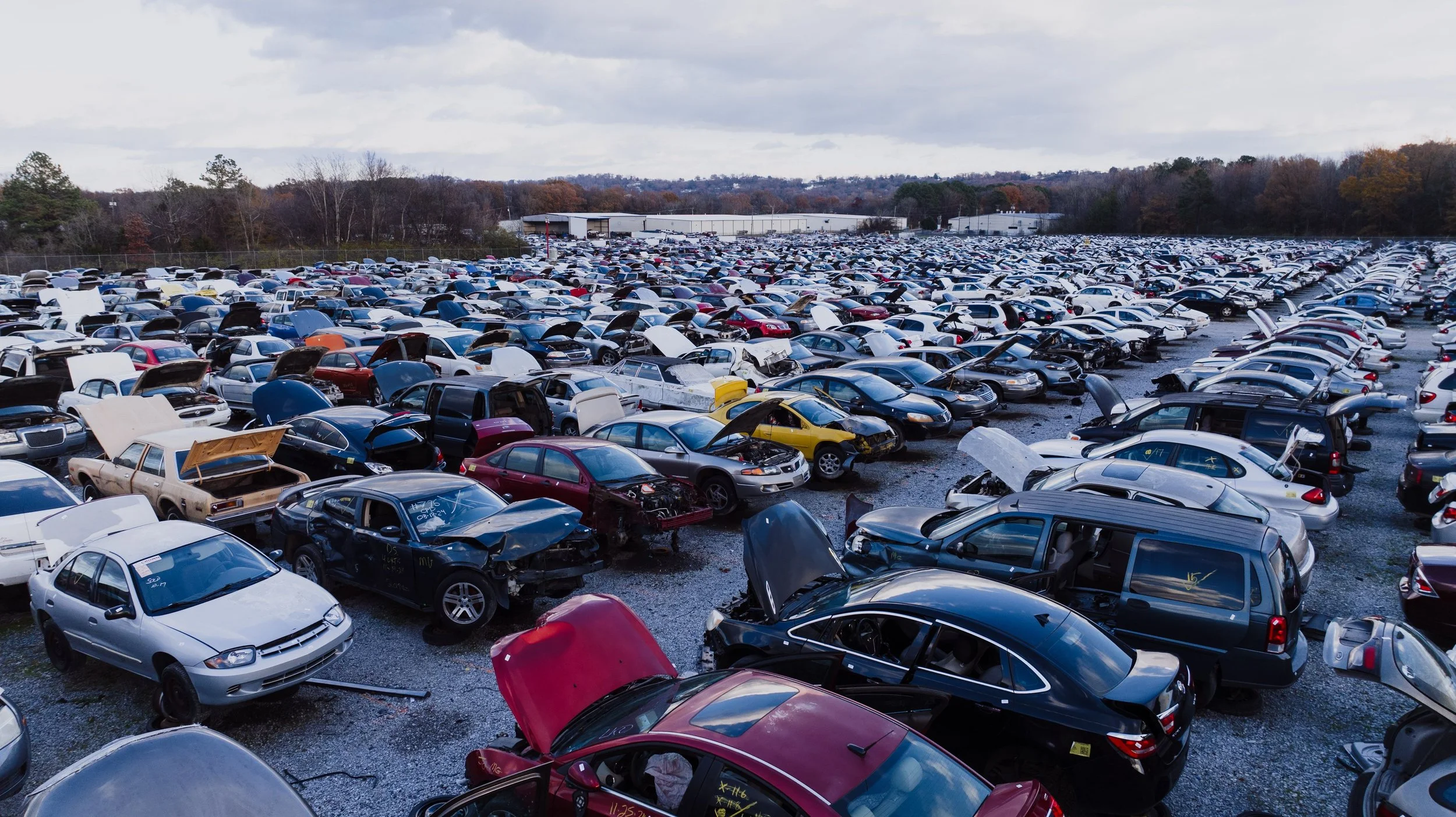 Vauxhall and Ford Scrap Volumes Rise as Wet Belt Repair Costs Push Cars Beyond Economic Repair