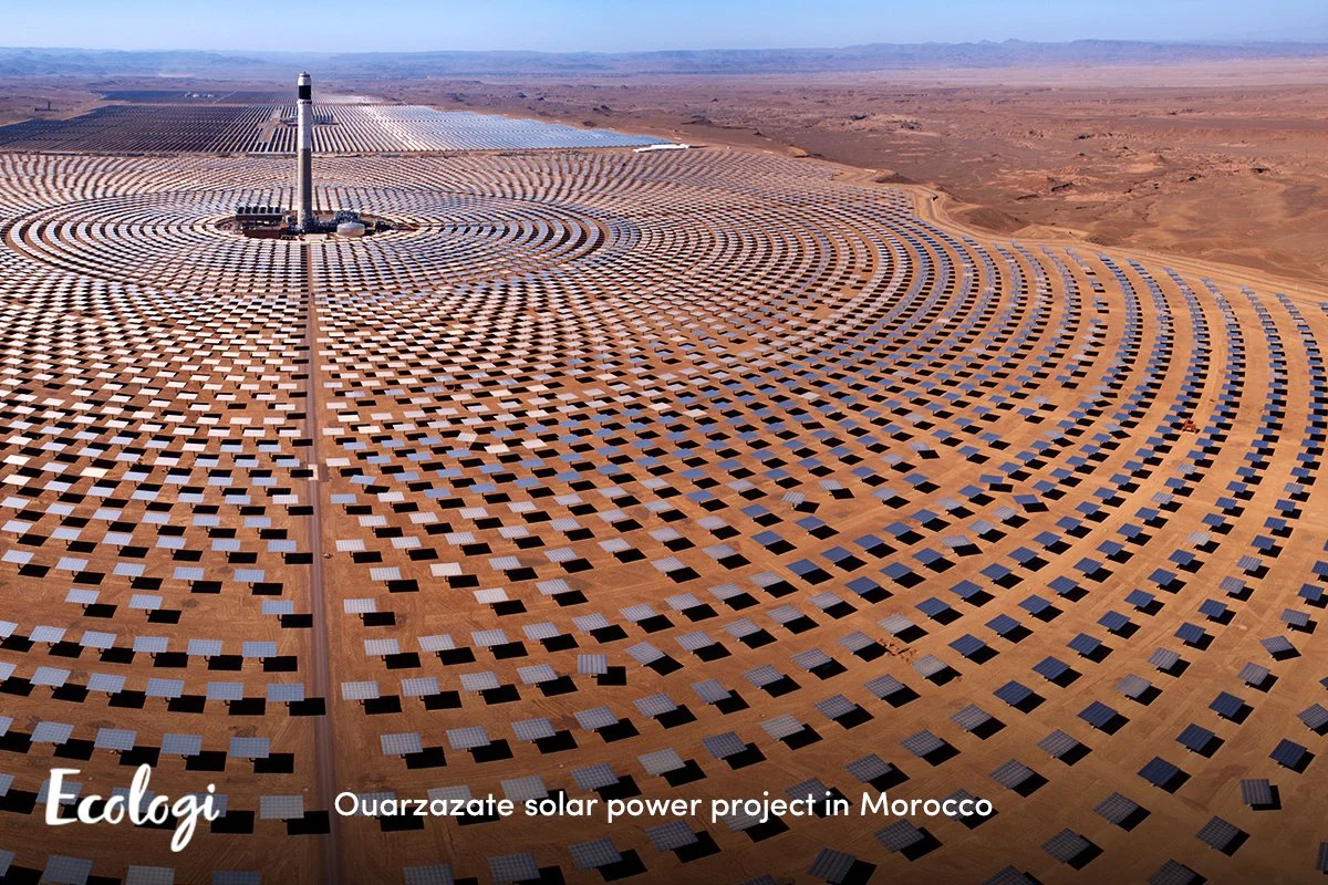 Working alongside environmental partner, Ecologi, the company has offset 9.2 tonnes of carbon dioxide equivalent