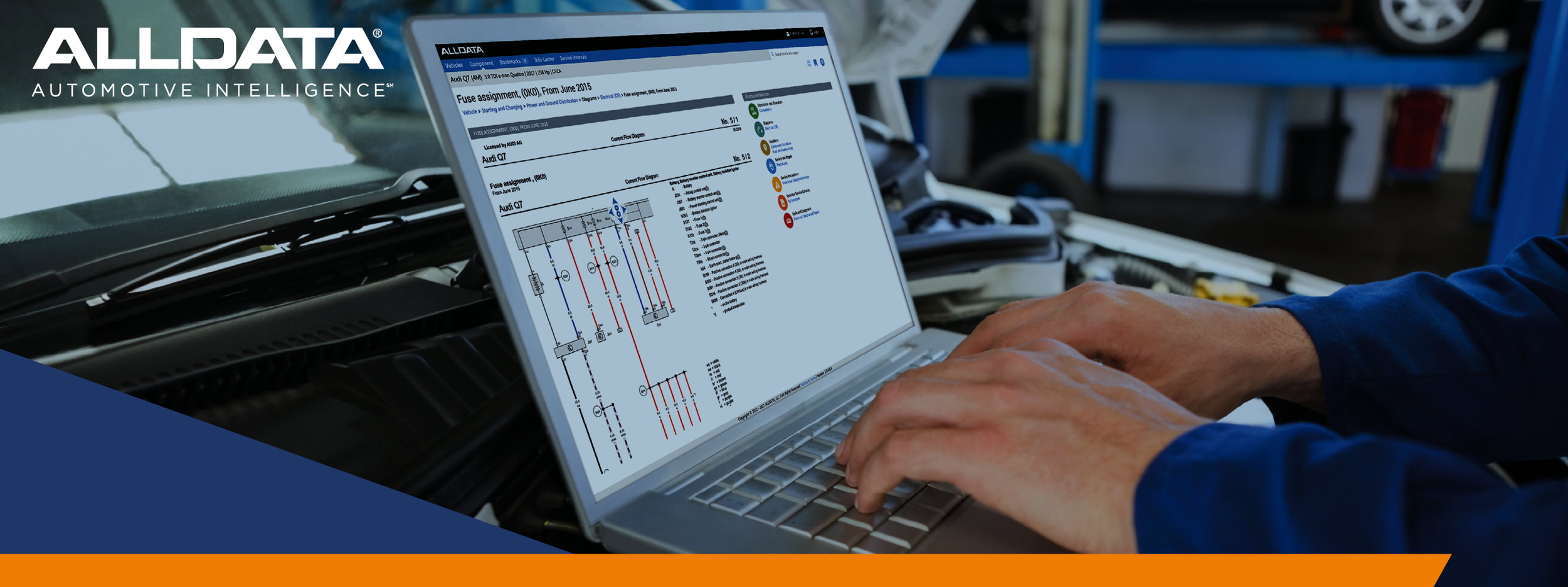 ALLDATA Europe celebrates record license milestone — Your Source for ...